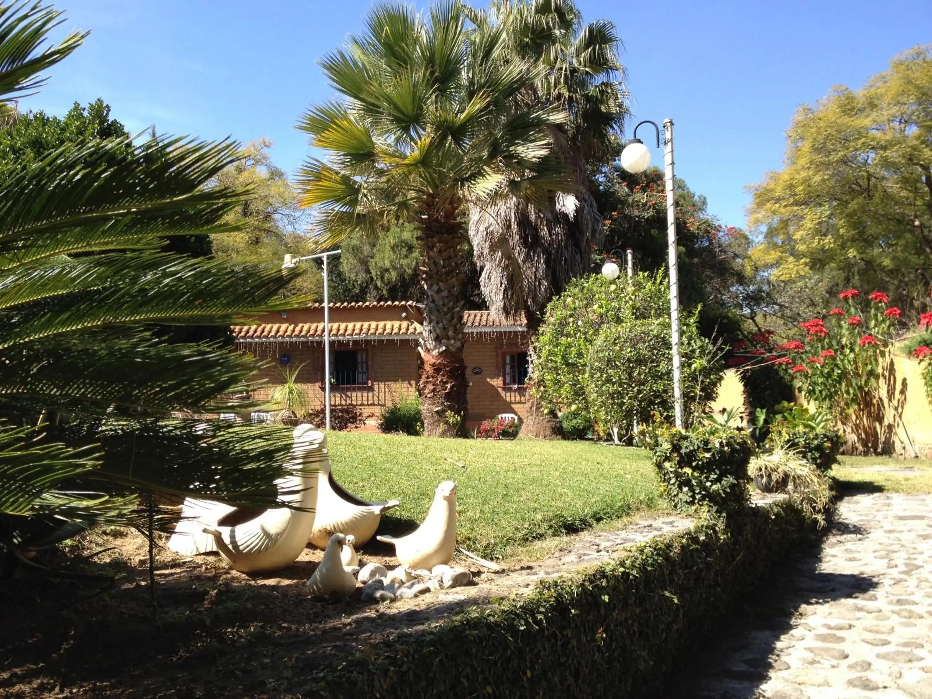 El Refugio de las Palomas El Refugio de las Palomas