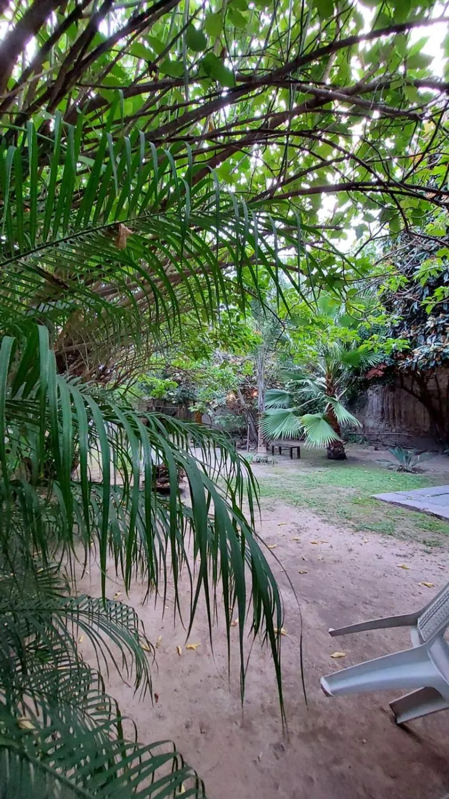 Garden view in Samsara Hotel Salta