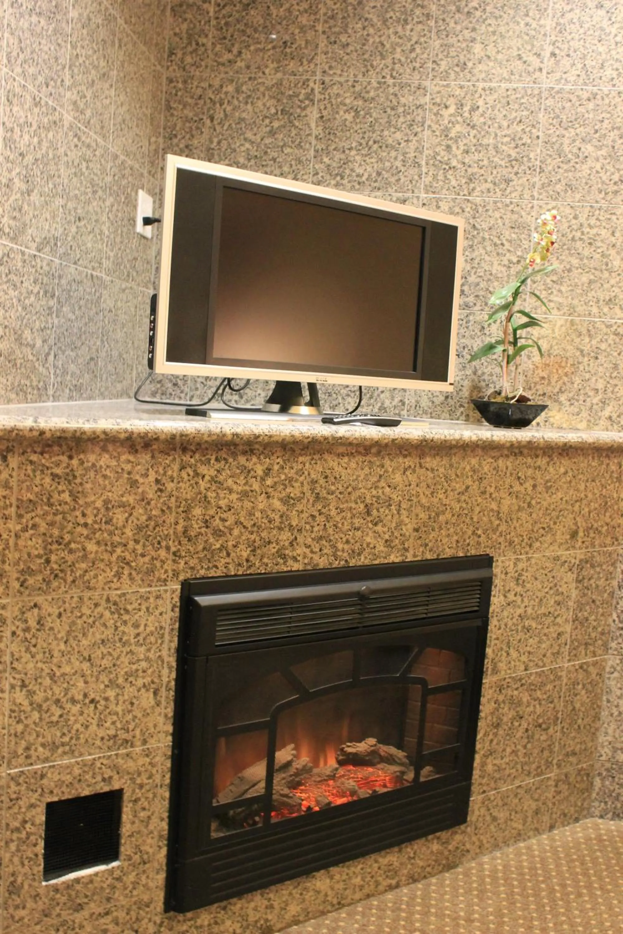 TV and multimedia in Rushmore Express & Suites