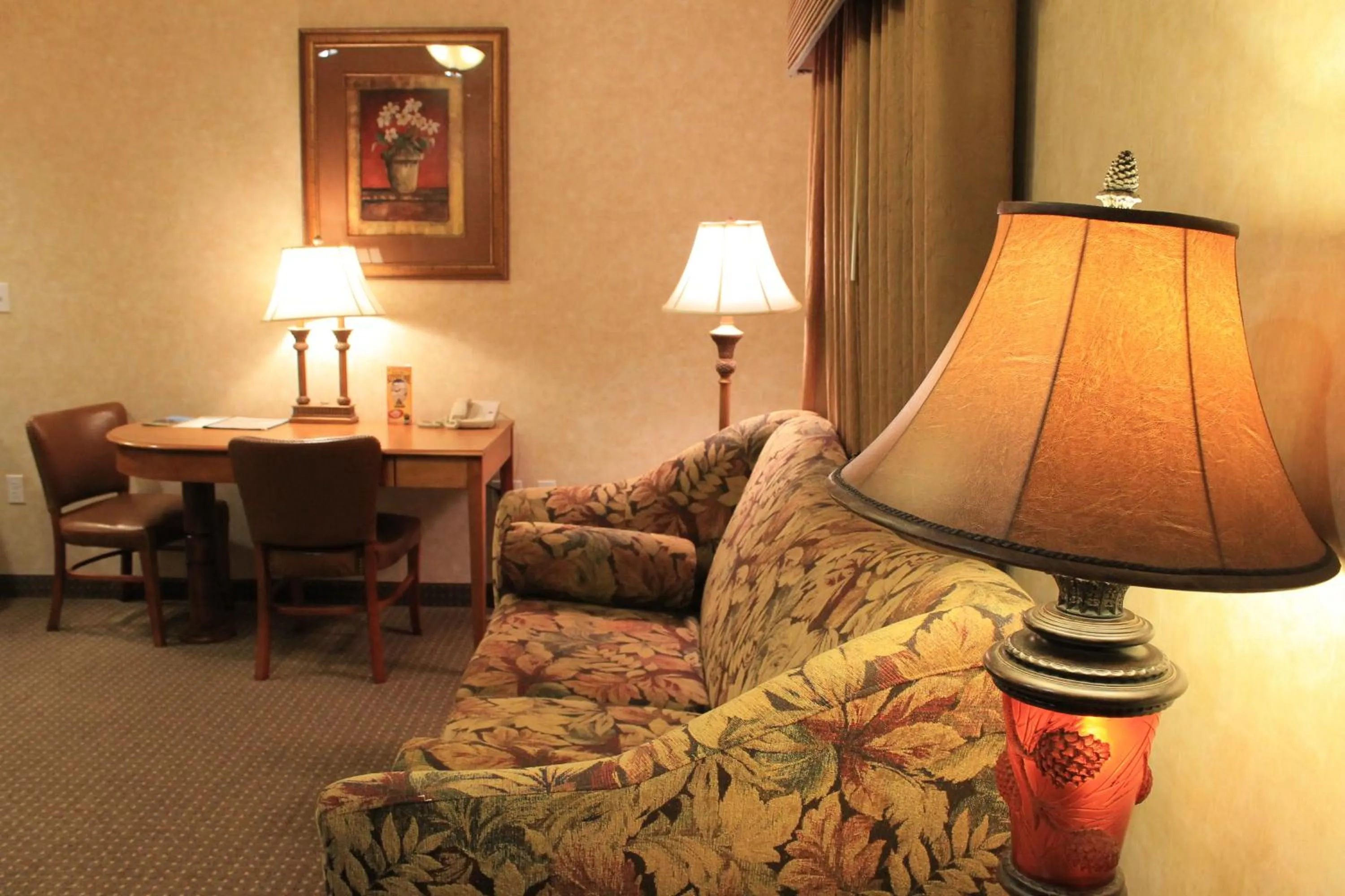 Living room in Rushmore Express & Suites