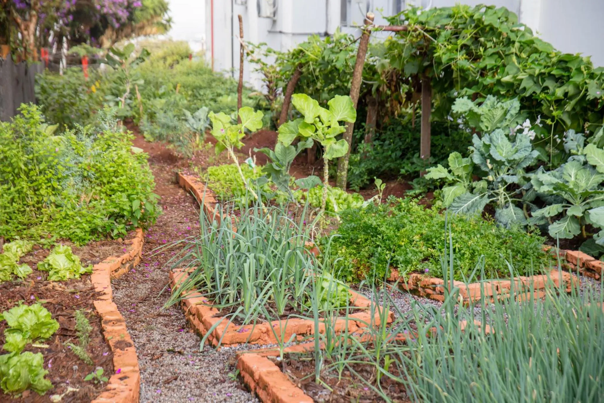 Fênix Hotel Varginha