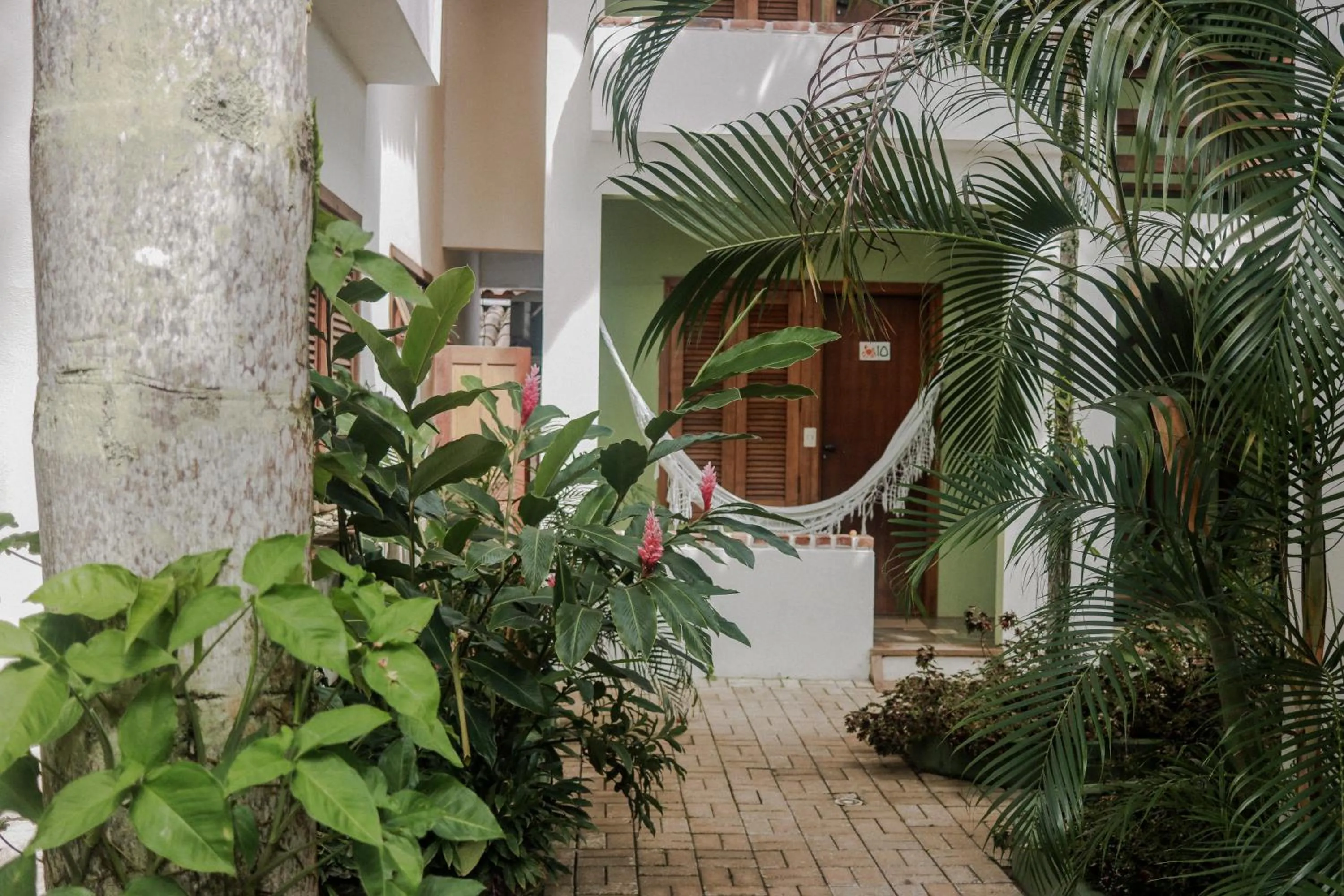 Garden in Pousada Maria Farinha