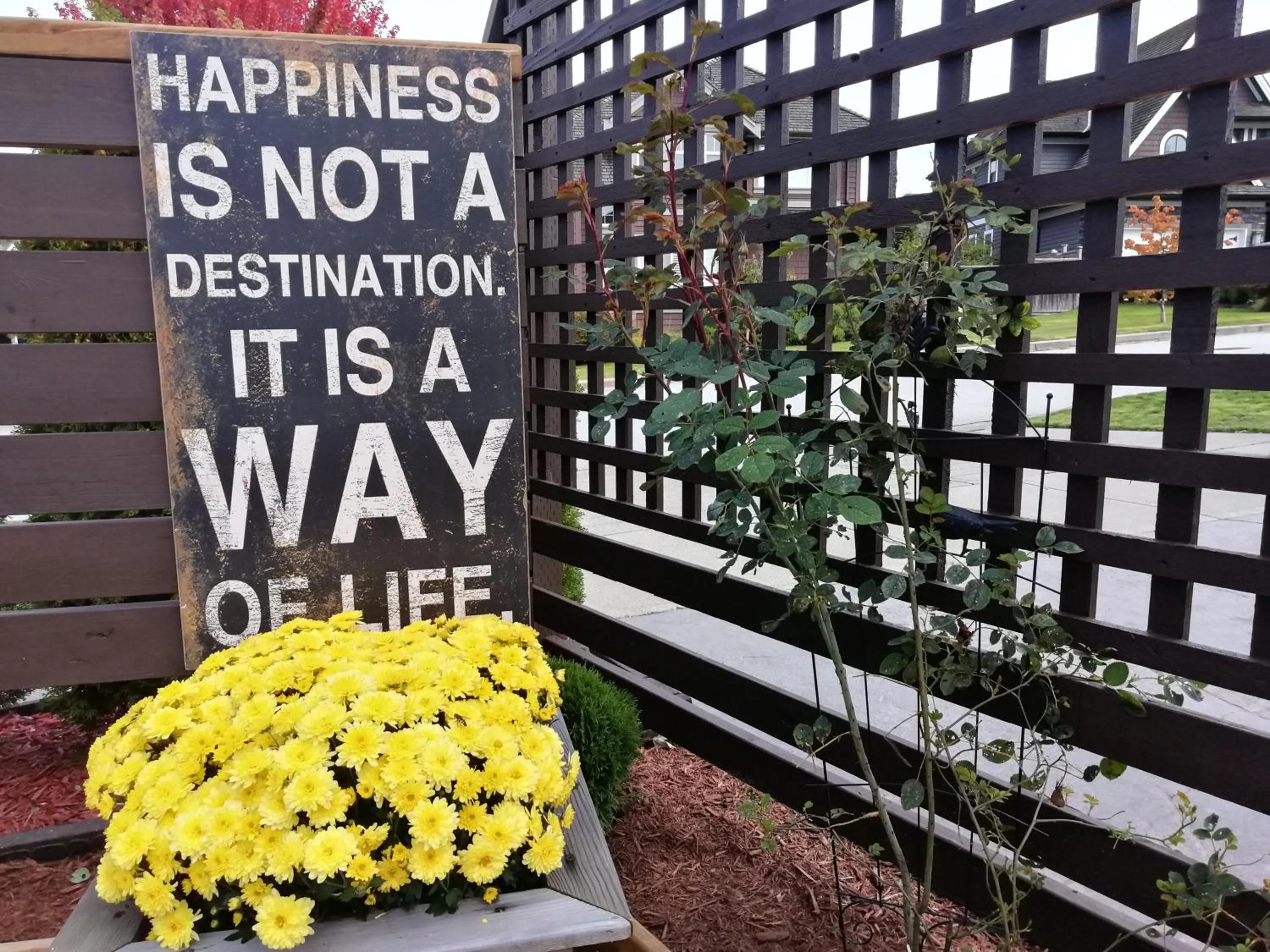 Garden in Sunny Island by White Rock B&B