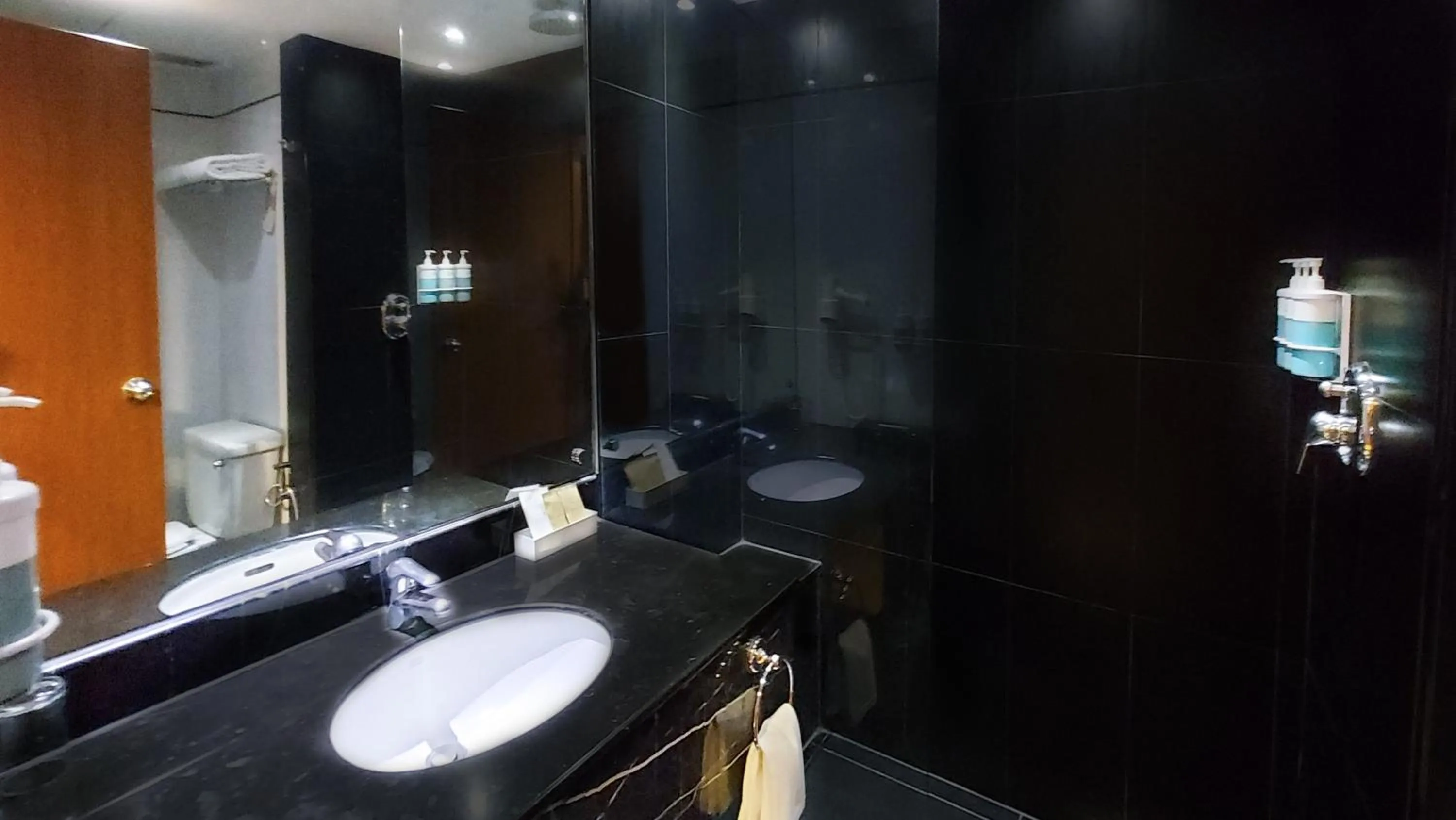 Bathroom in Novotel Bangkok Bangna