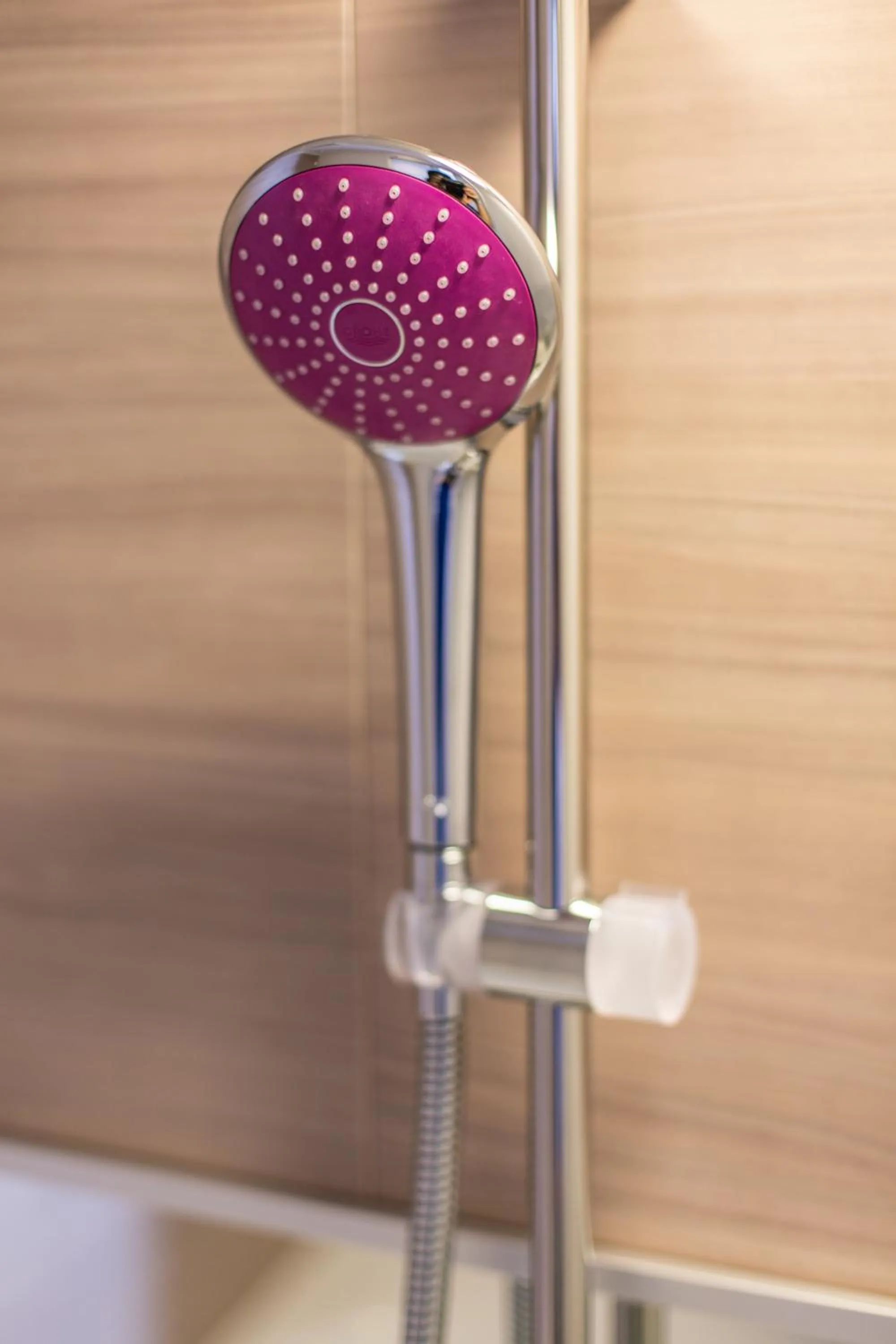 Shower in Hotel Musse Ginza Meitetsu