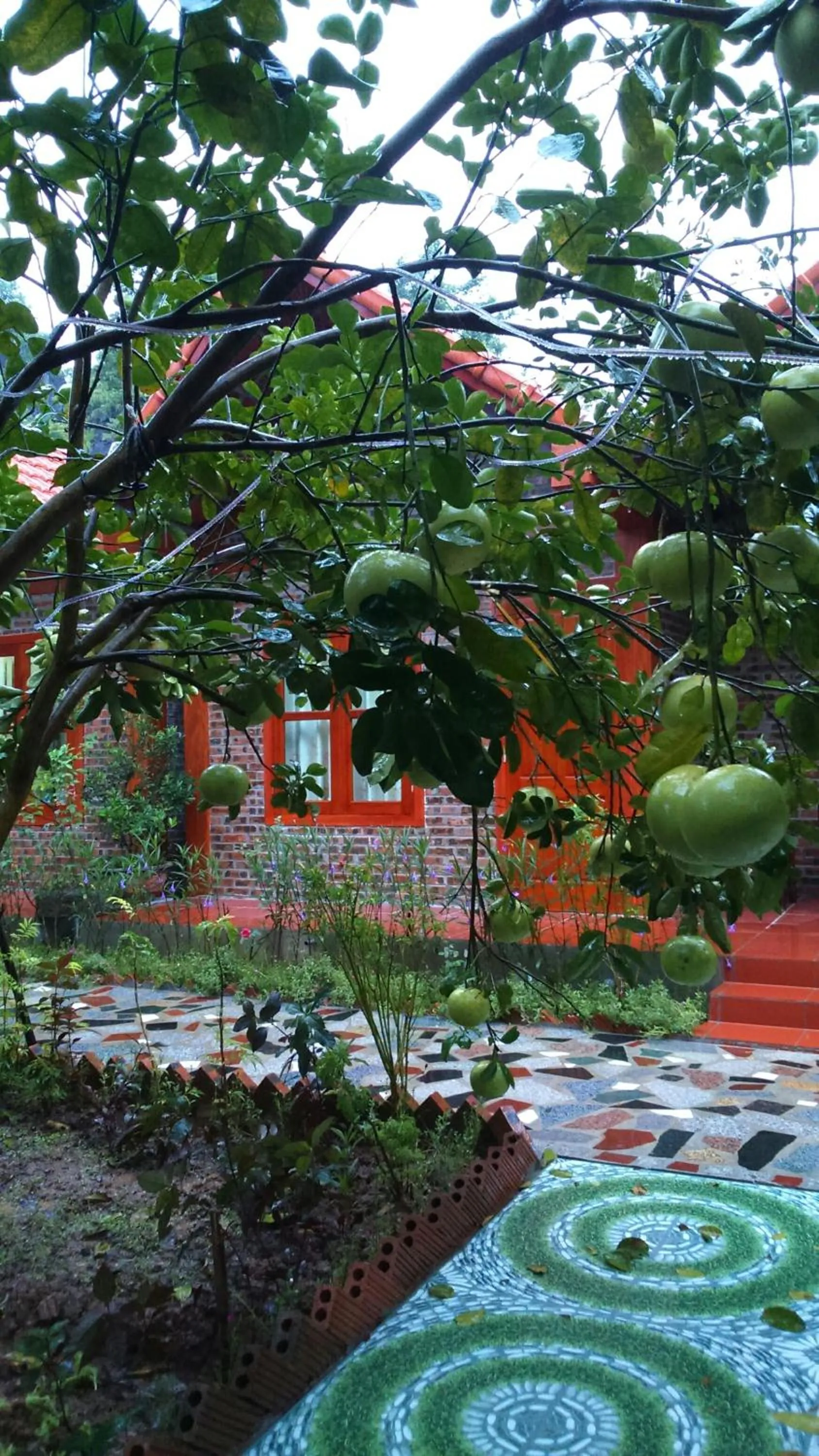 Autumn in Tam Coc Thanh Dat Homestay