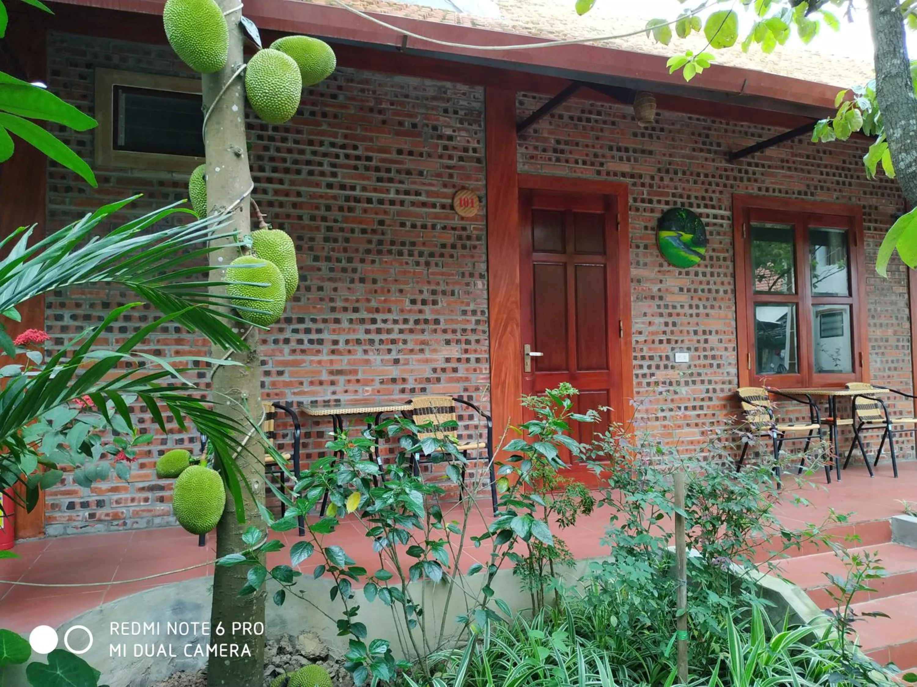 Property building in Tam Coc Thanh Dat Homestay