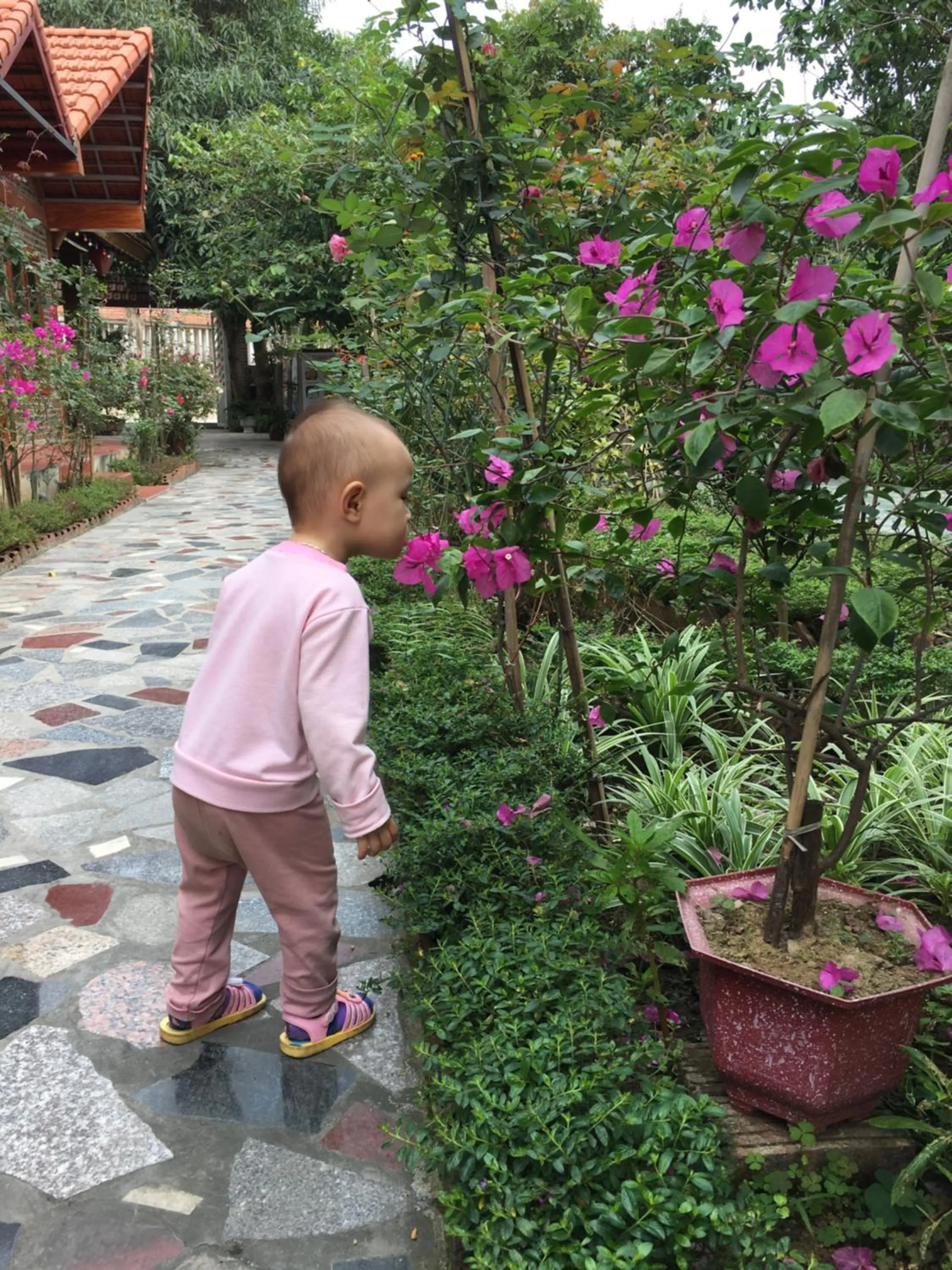 children in Tam Coc Thanh Dat Homestay