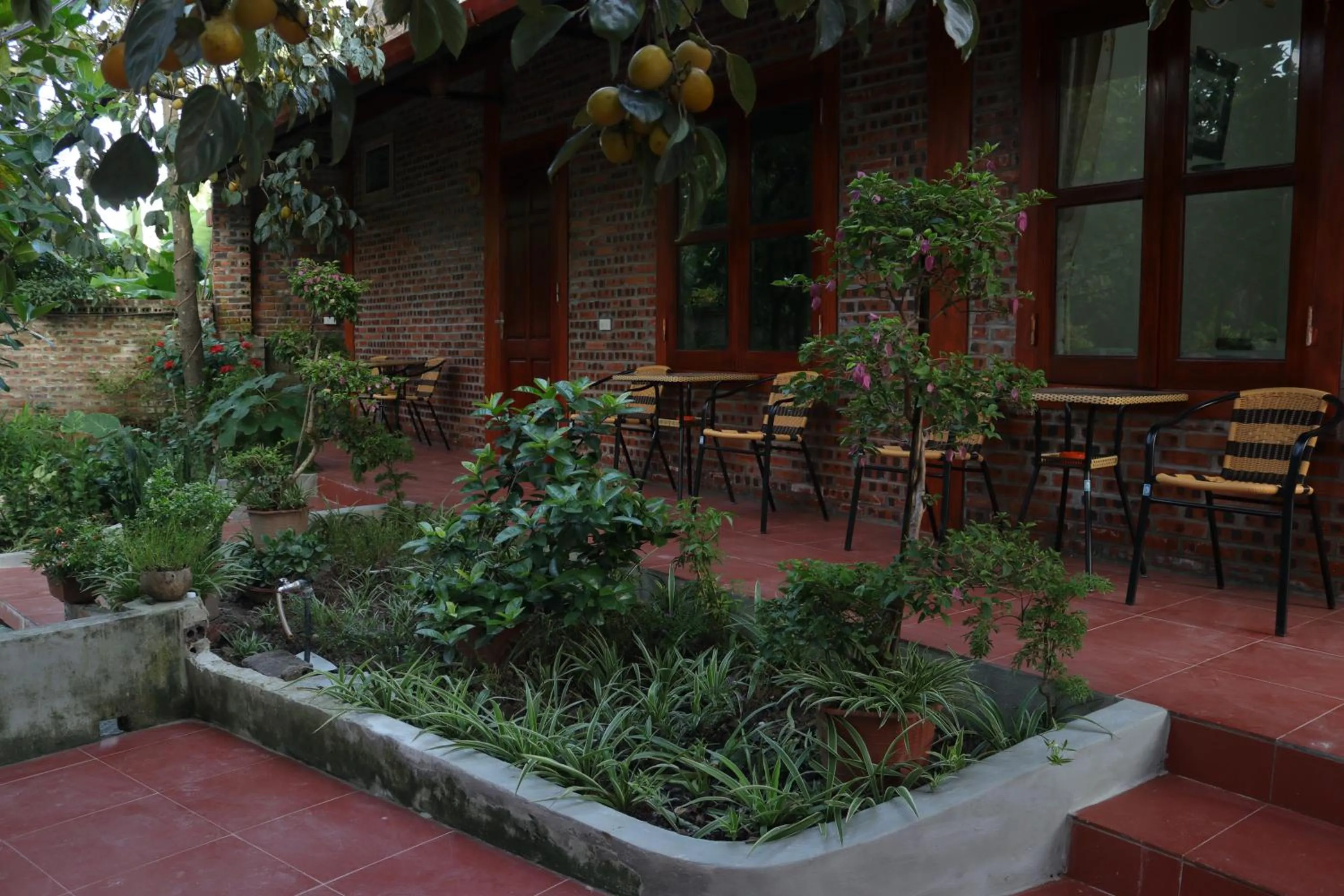 Patio in Tam Coc Thanh Dat Homestay