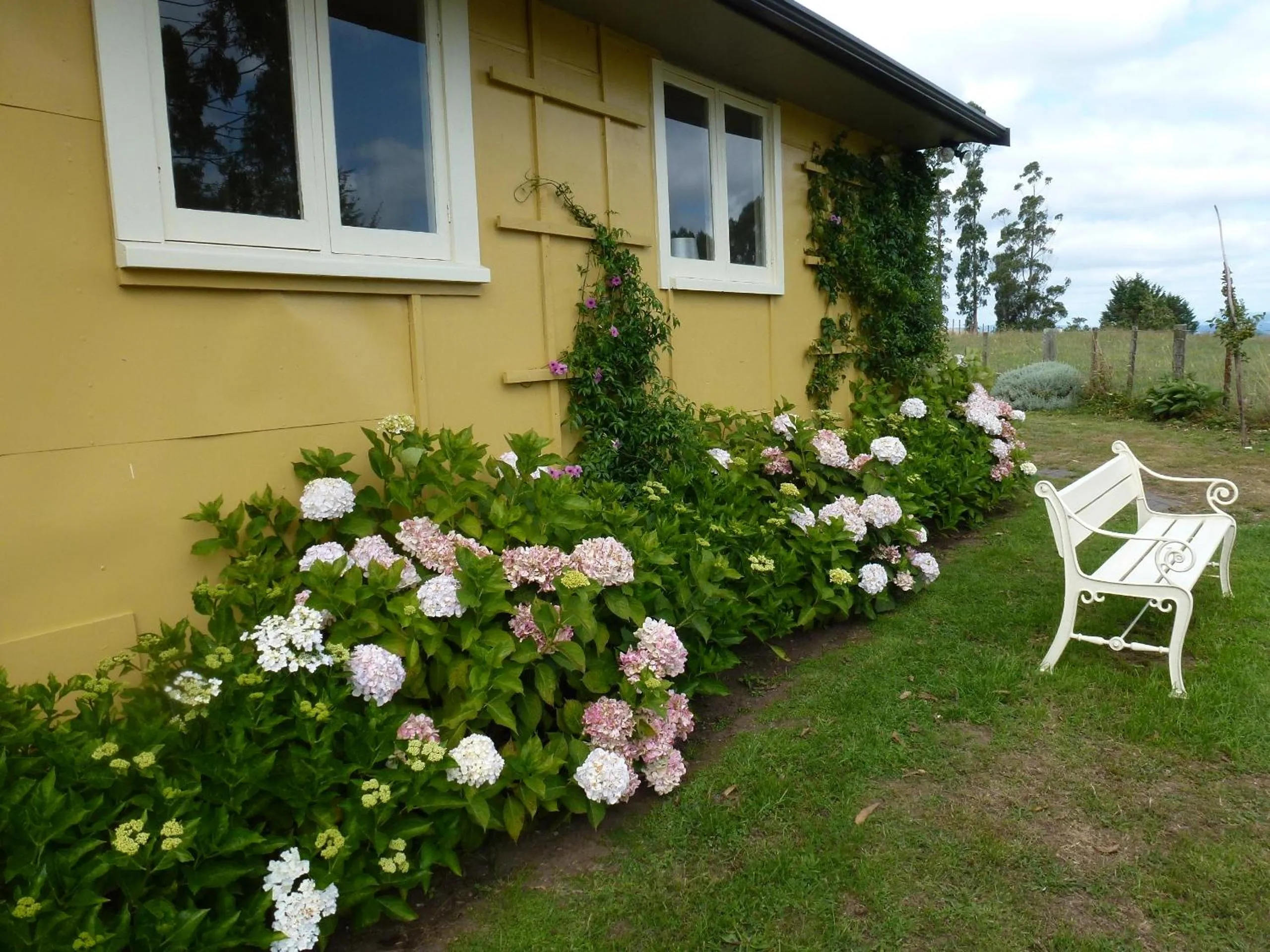 Facade/entrance, Garden in B&B Blossom Cottage