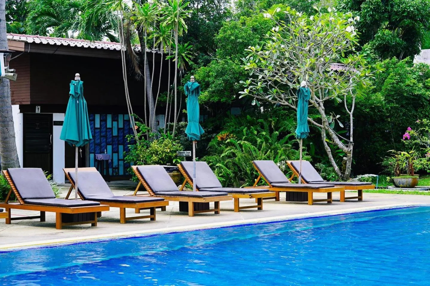 Swimming pool in Coco Palm Beach Resort - SHA Extra Plus