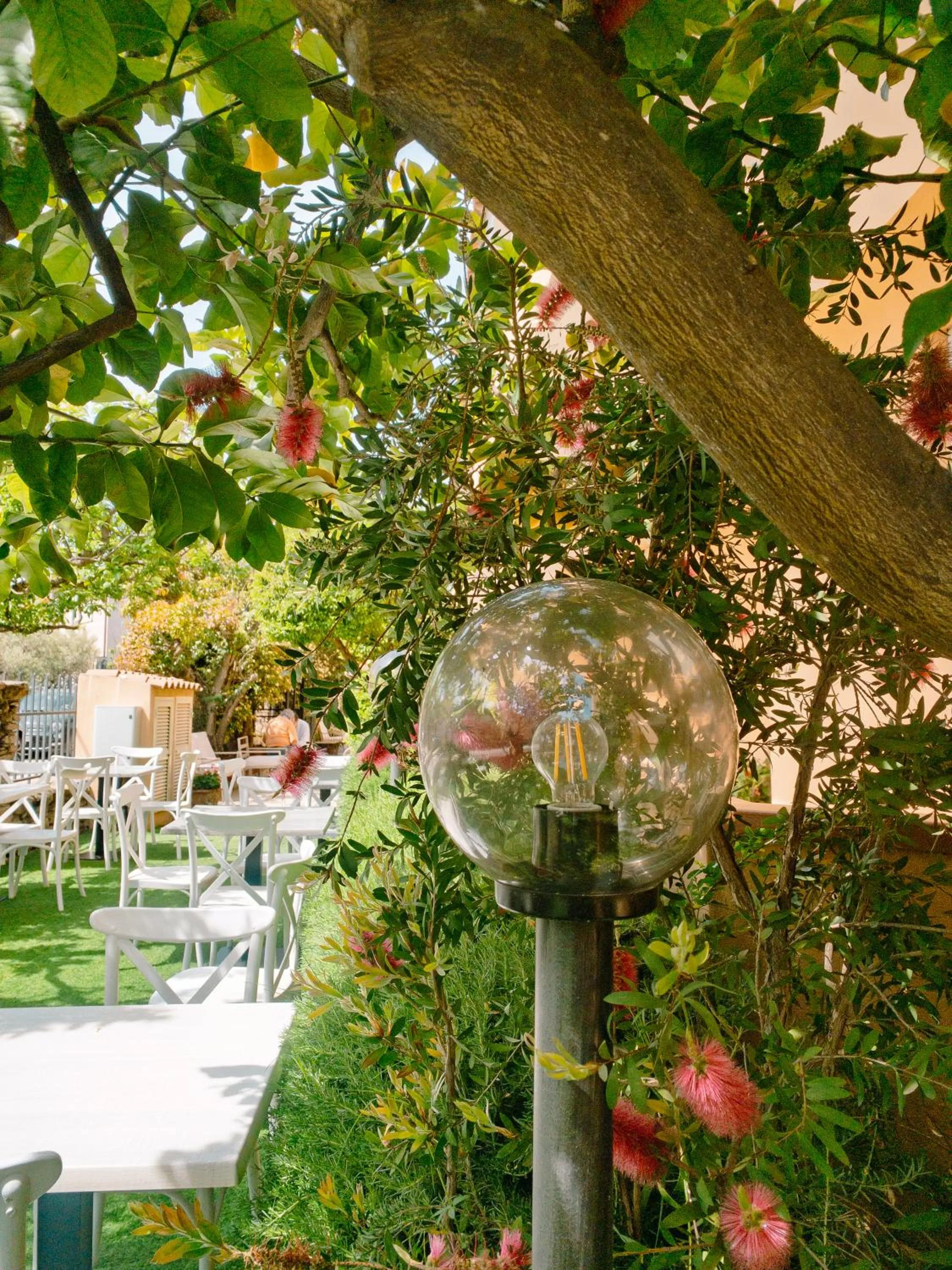 Restaurant/places to eat in Hotel Donatella