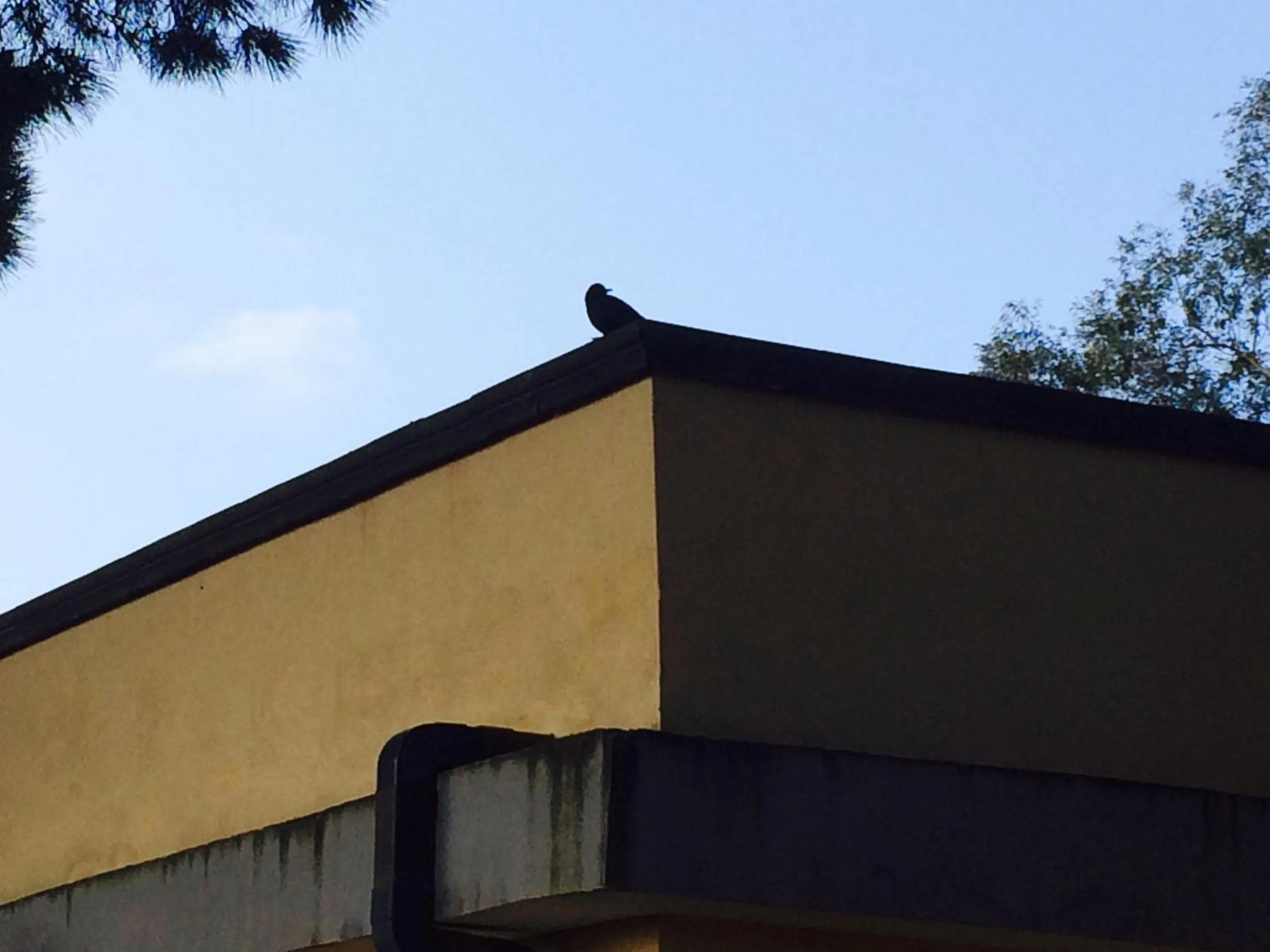 Animals in Hotel Al Togo Fitness & Relax