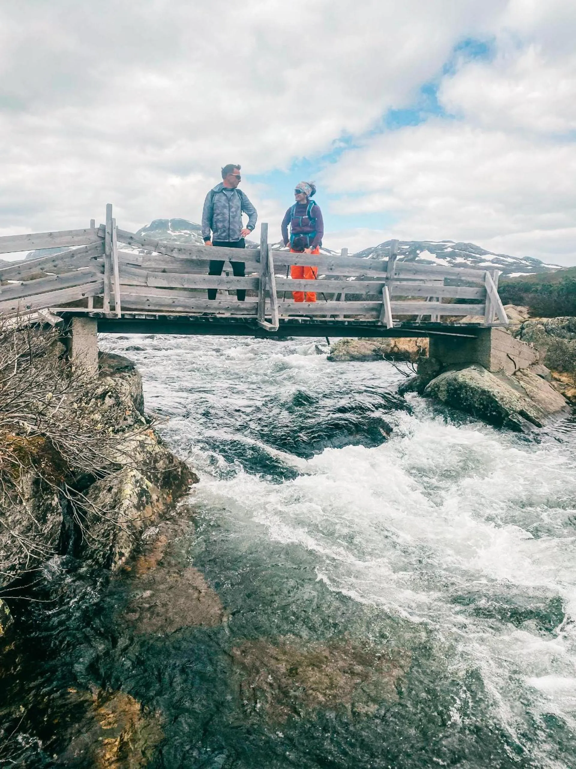Natural landscape in Gaustablikk Fjellresort