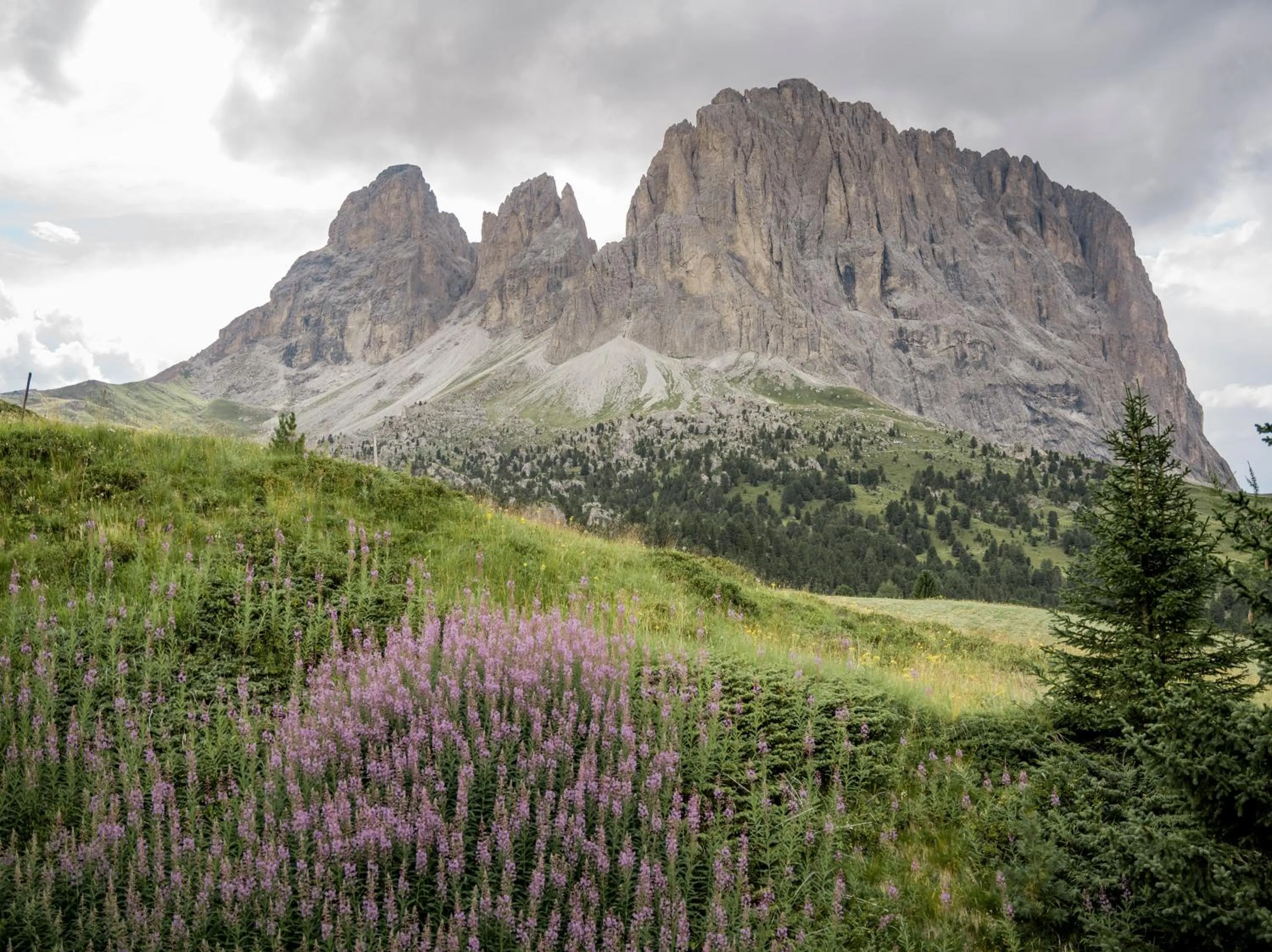 Natural landscape in Charme Hotel Uridl