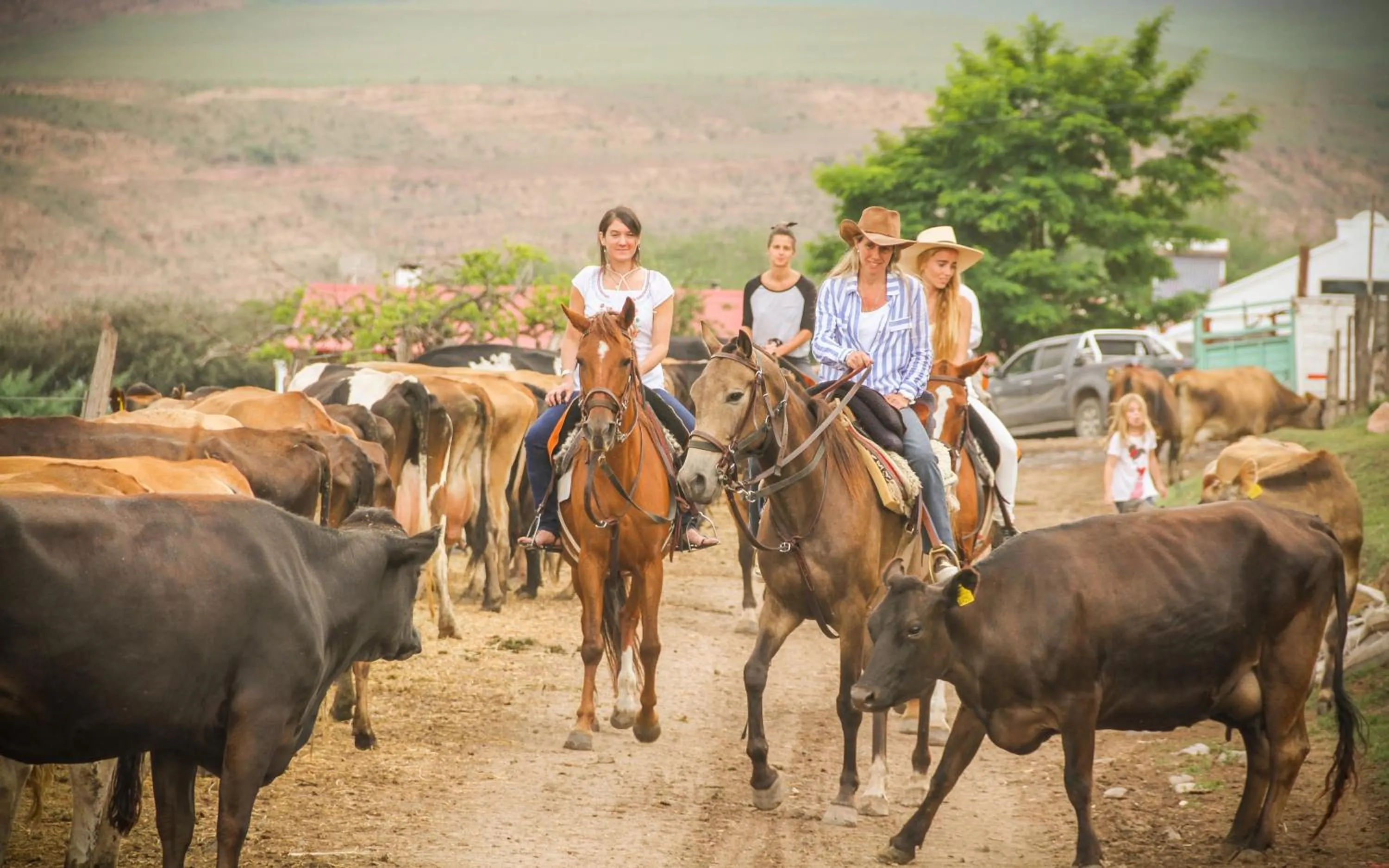 Estancia Las Carreras
