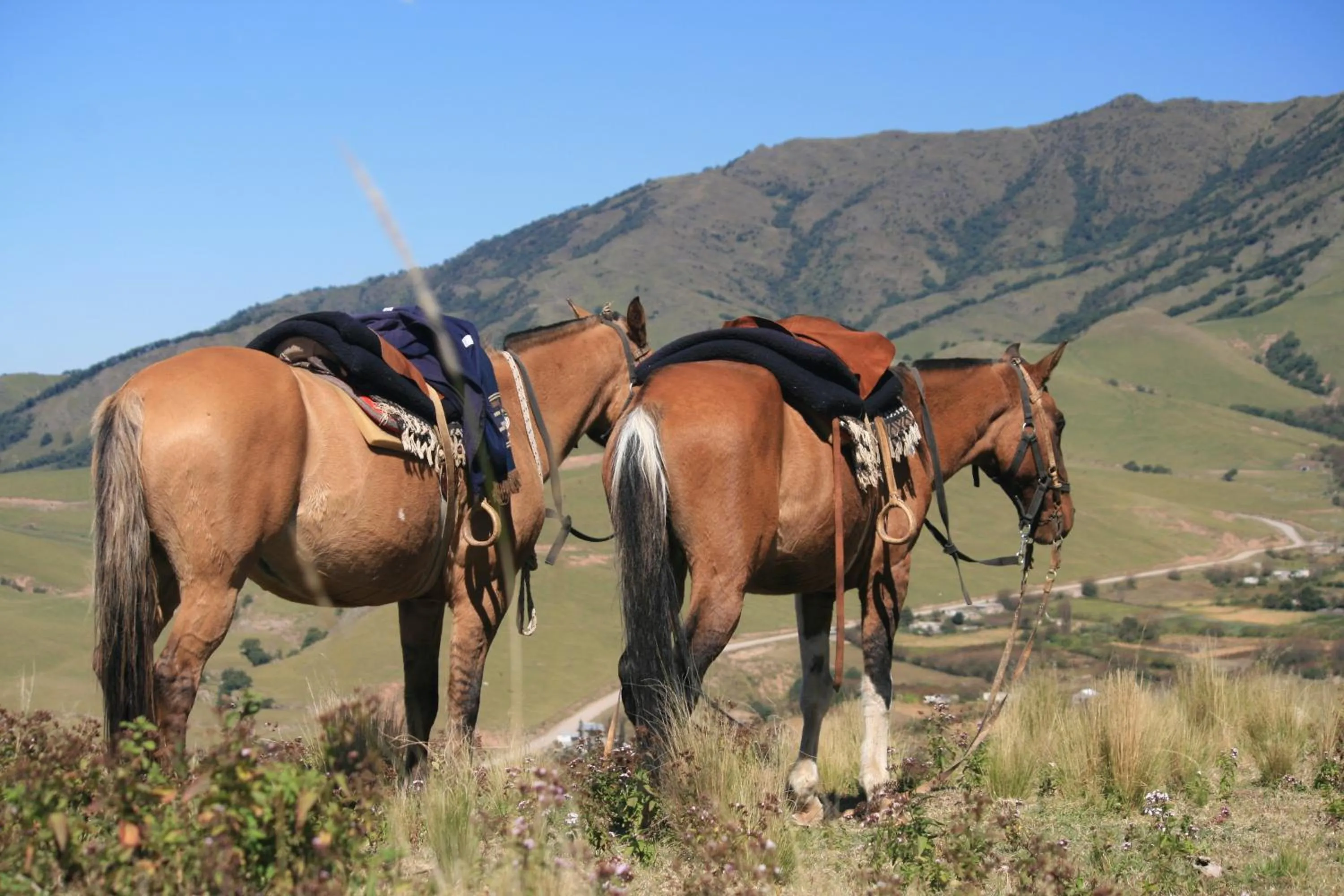 Day in Estancia Las Carreras
