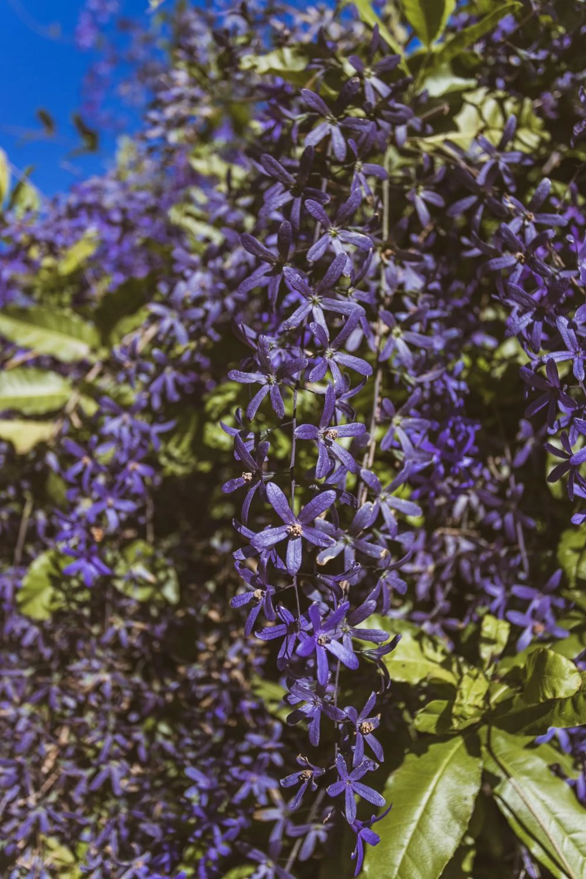 Río Arriba Suites & Apartments & Restó