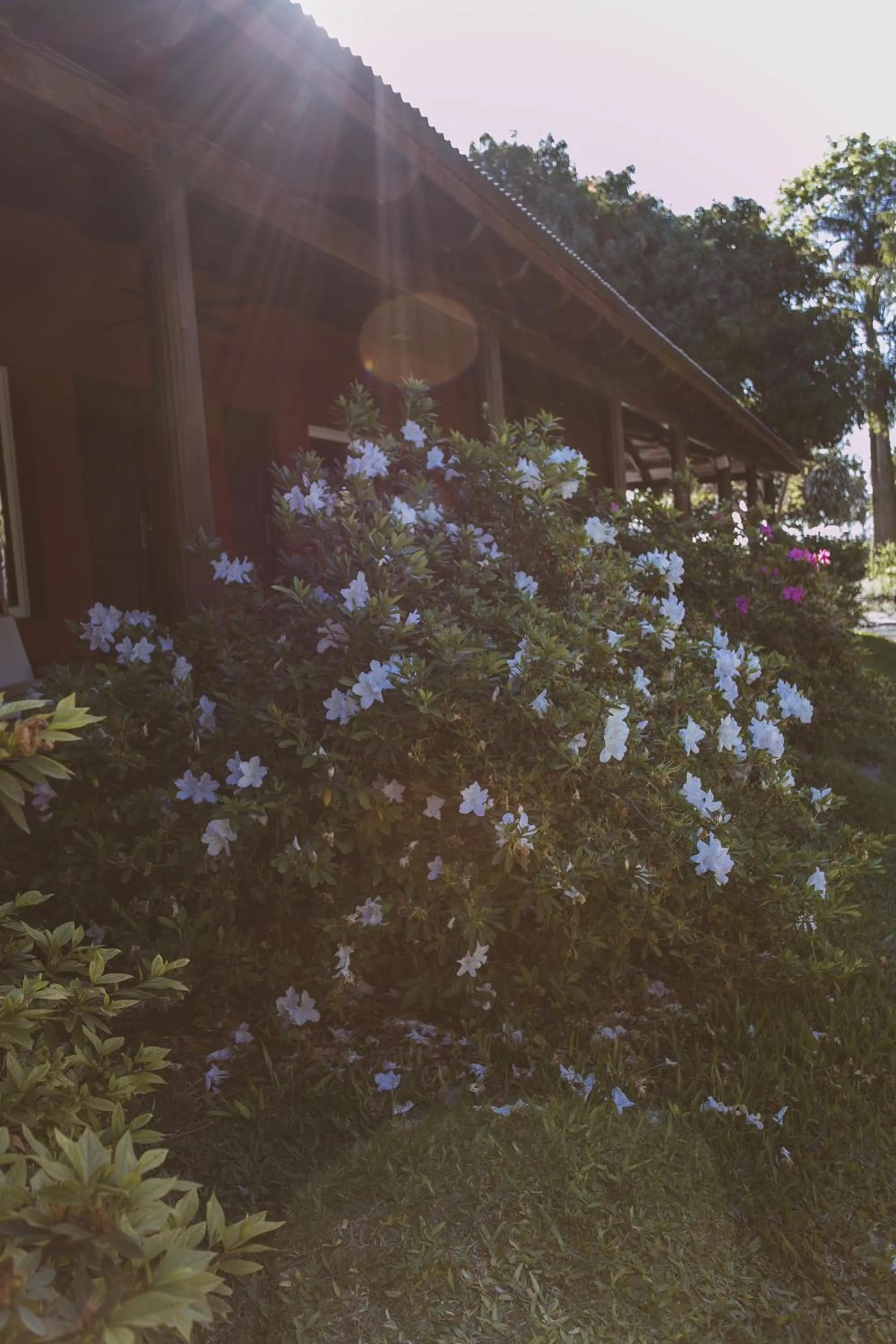 Río Arriba Suites & Apartments & Restó