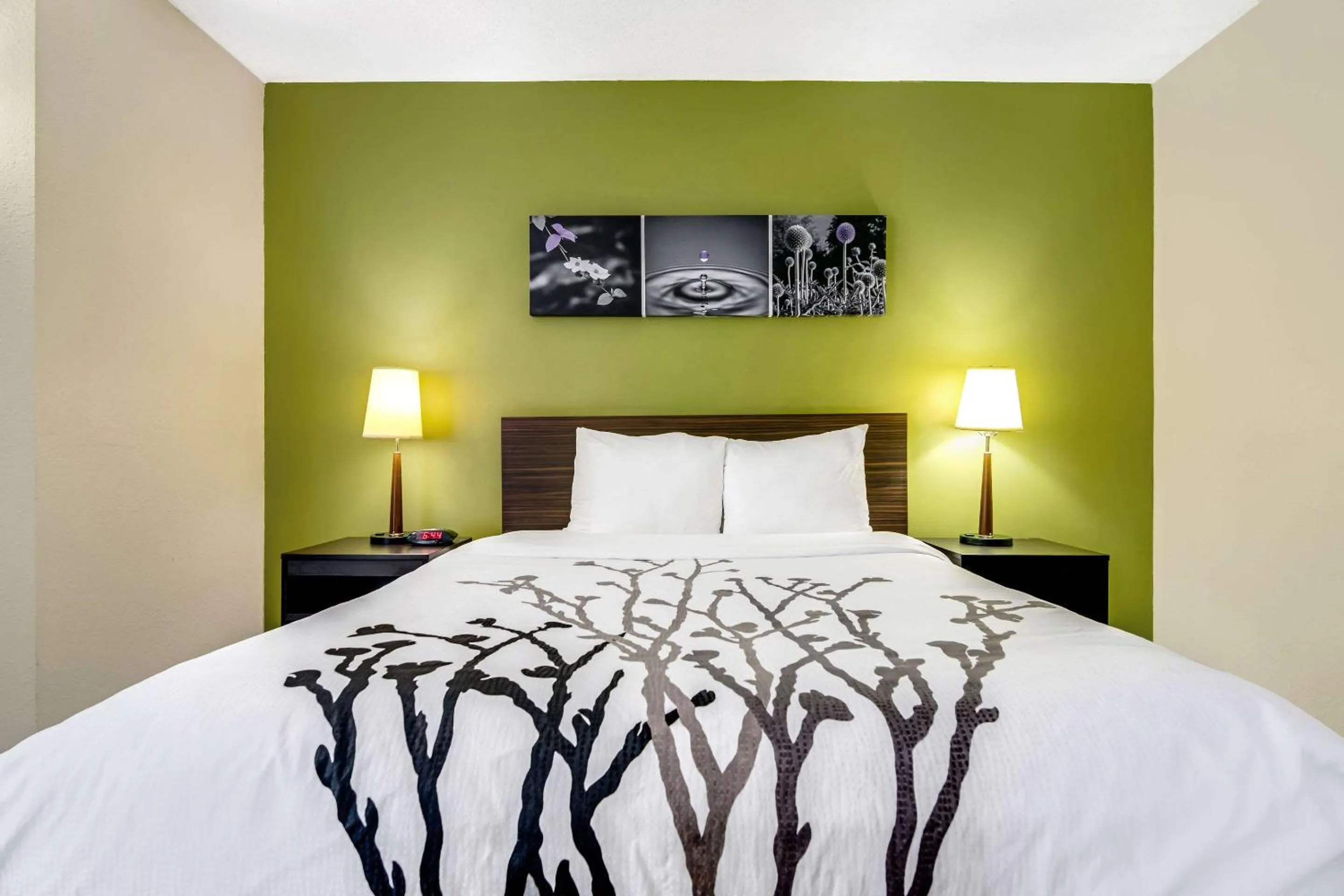 Bedroom, Bed in Sleep Inn near I-80 and I-94