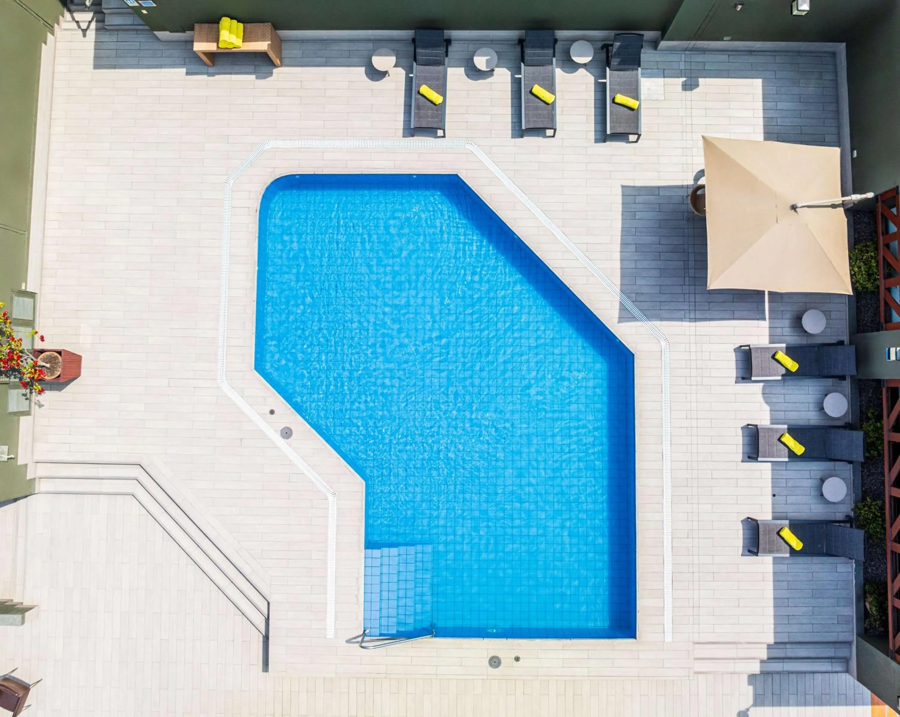 Pool view in Sonesta Hotel El Olivar