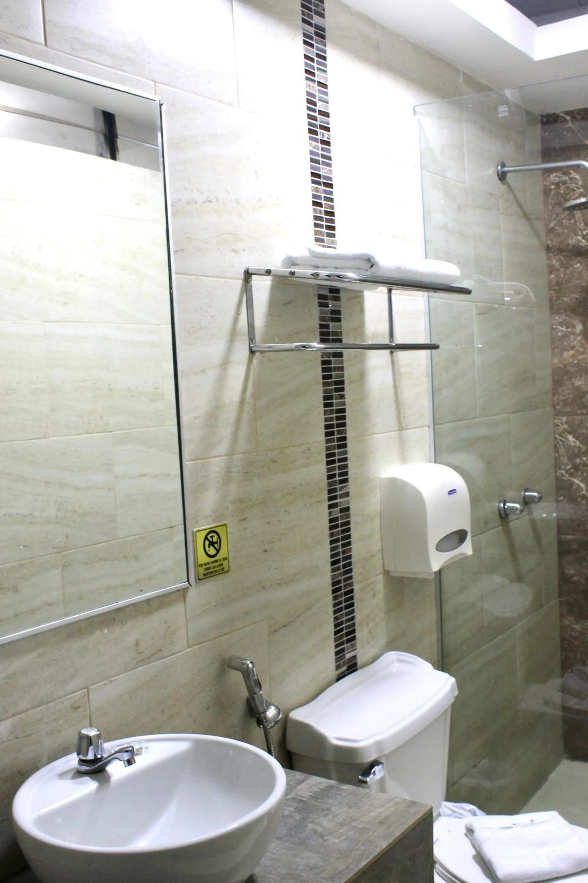 Shower in Hotel Presidente Internacional