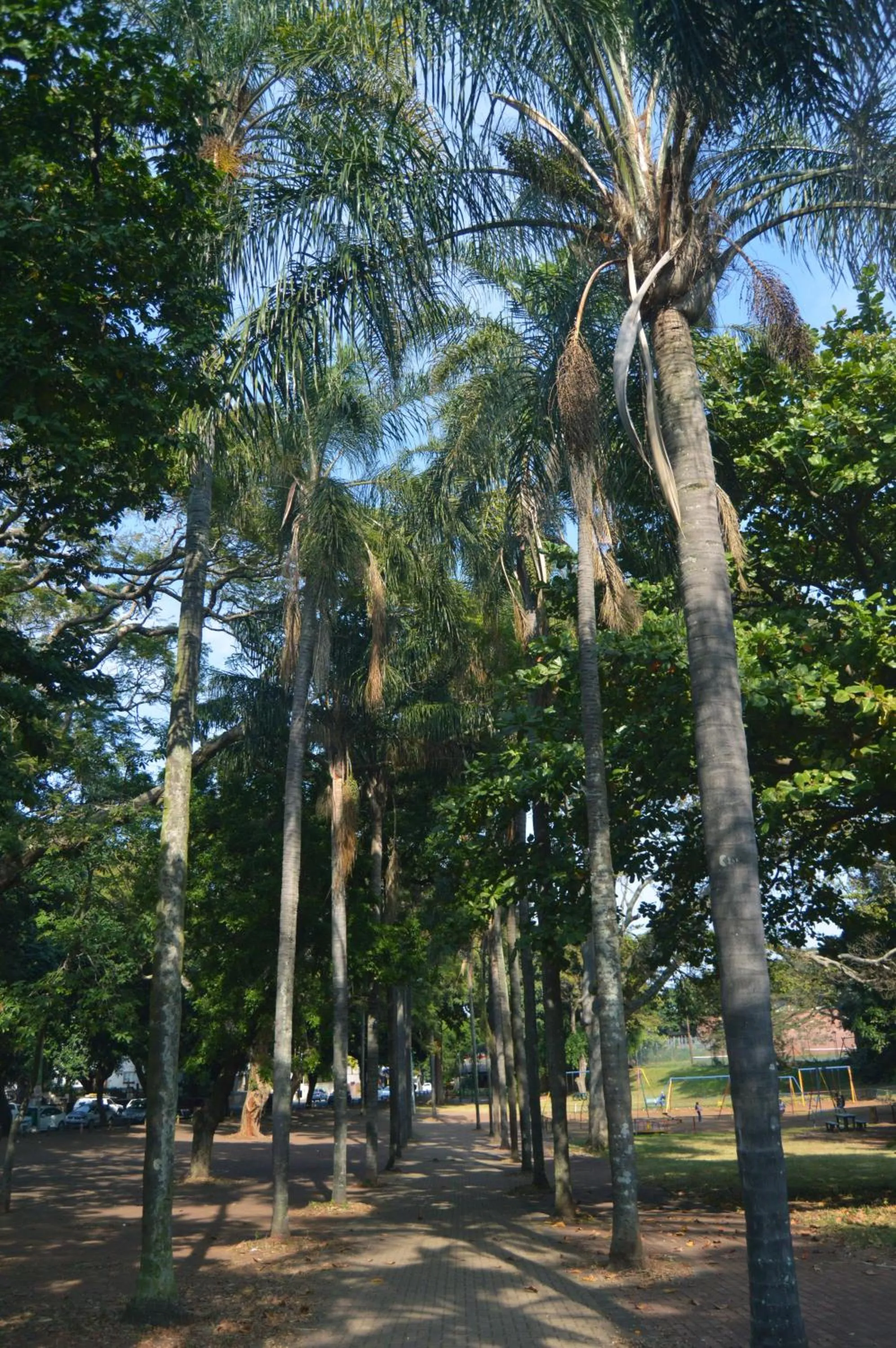 Essenwood Park Hotel