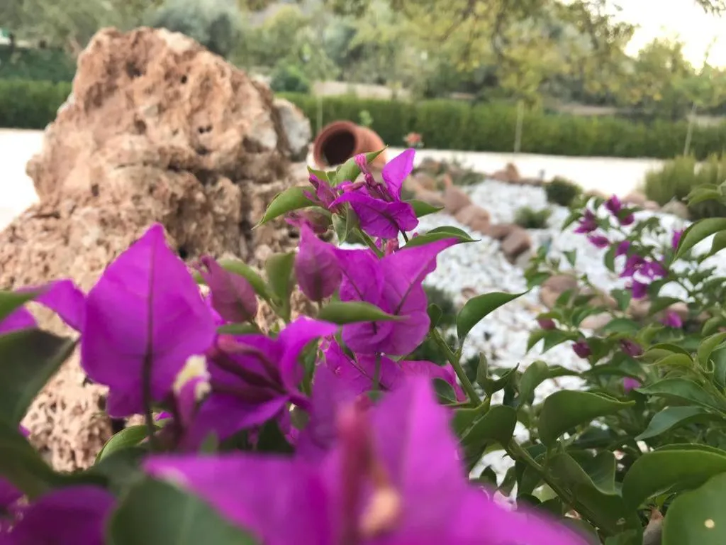 Alojamiento Rural Casa Fuente del Prado
