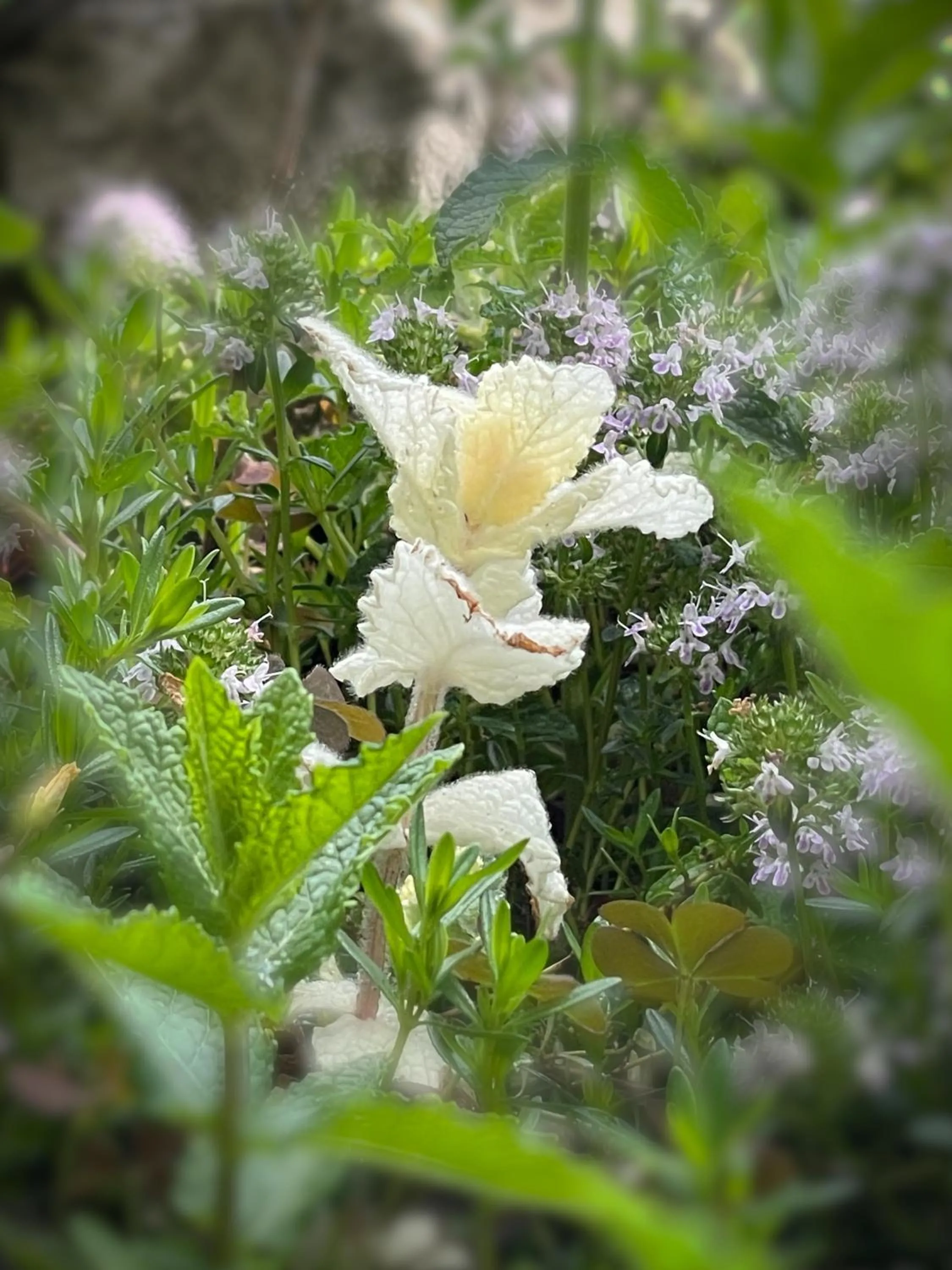 Property building in Boutique Hotel St Georgen