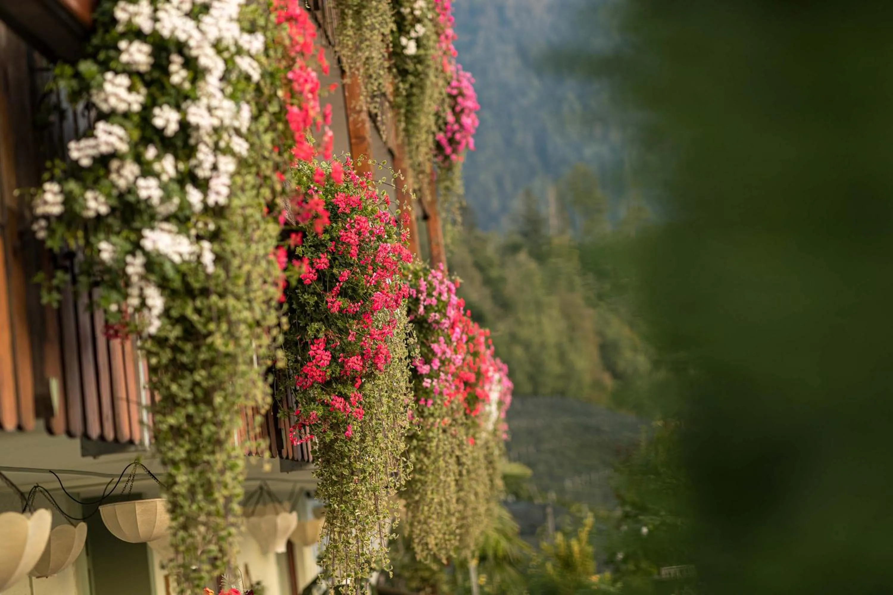 Property building in Boutique Hotel St Georgen