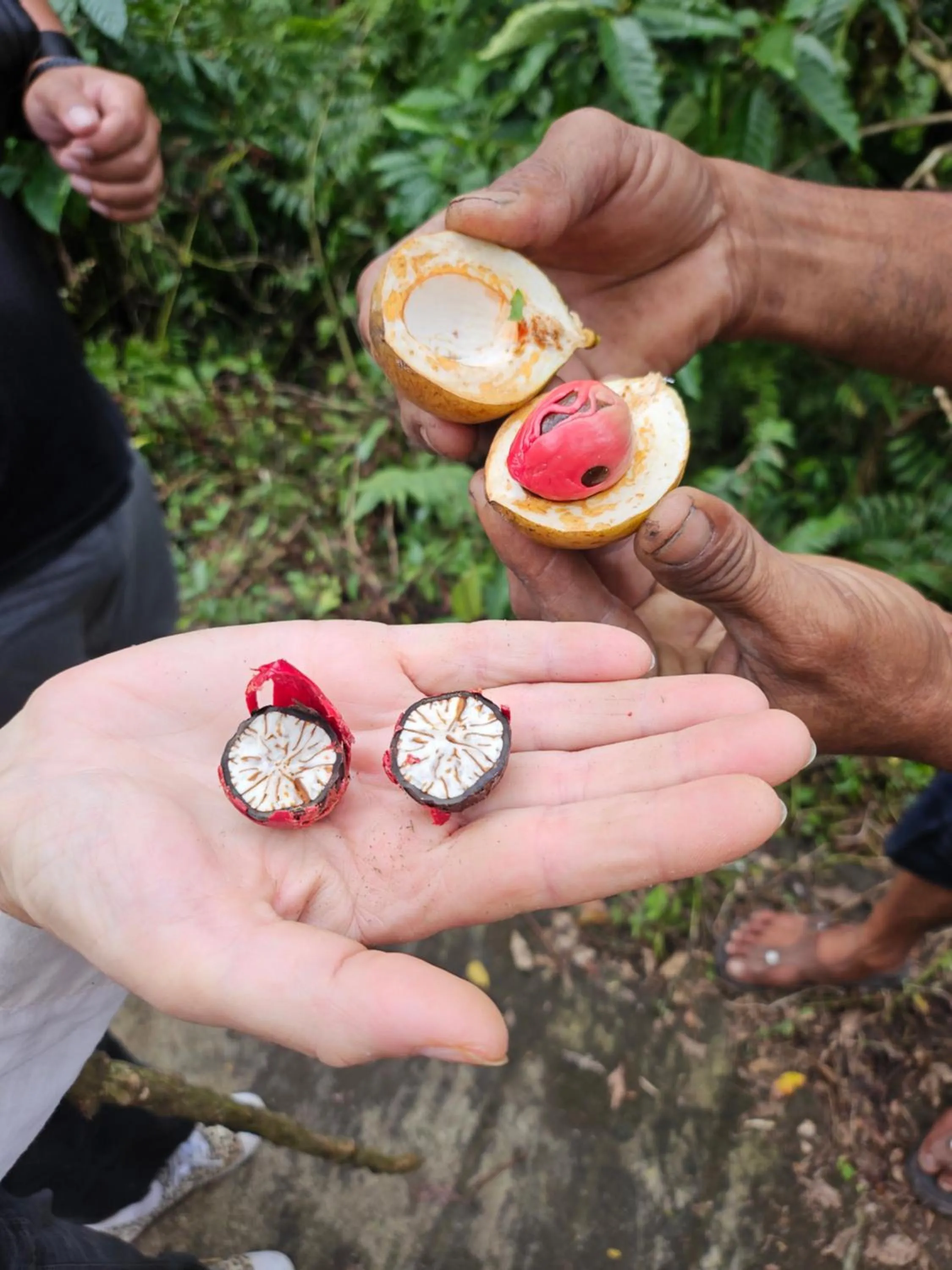 Activities in Puri Dajuma Beach Eco-Resort & Spa