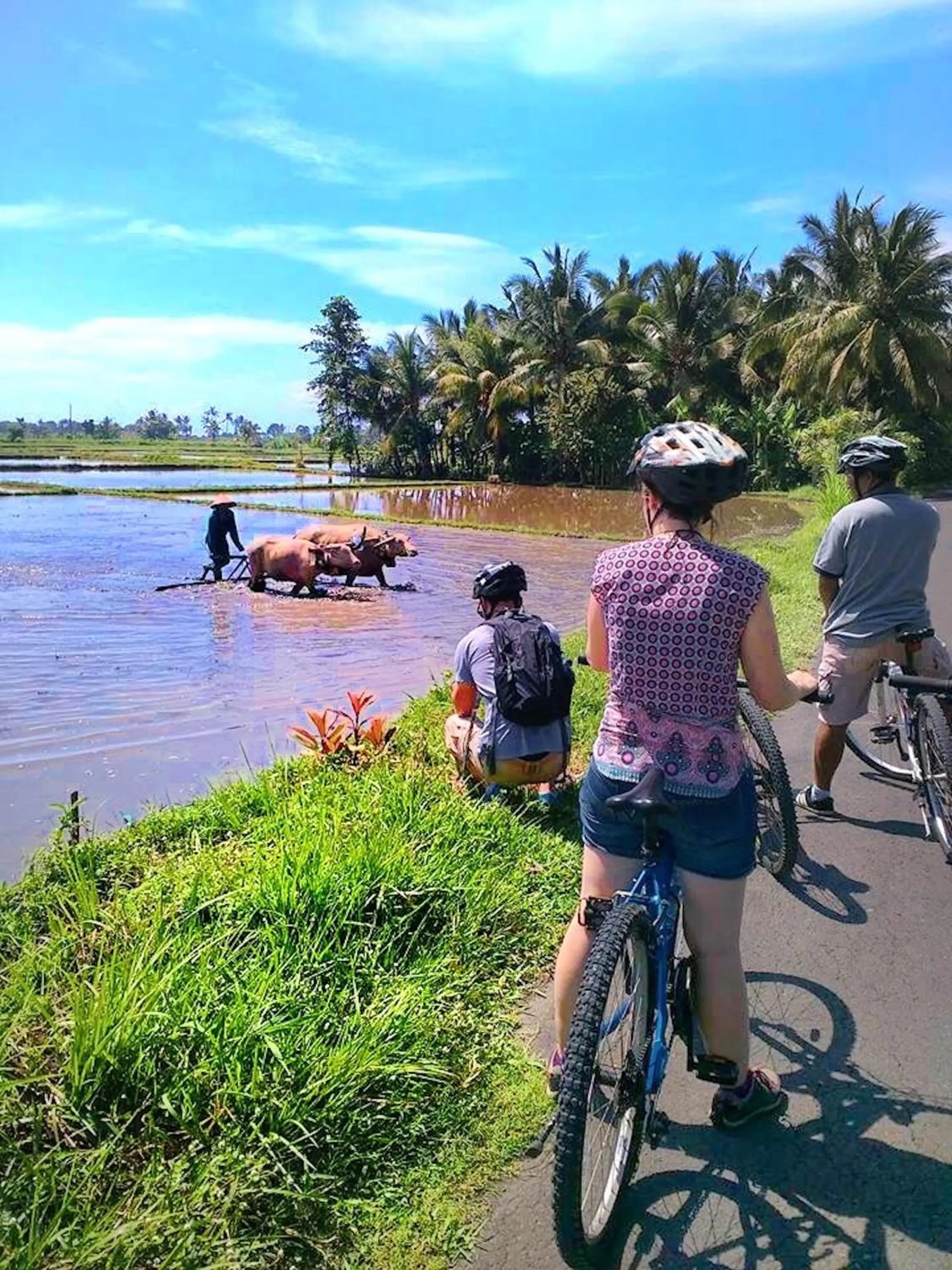 Cycling in Puri Dajuma Beach Eco-Resort & Spa