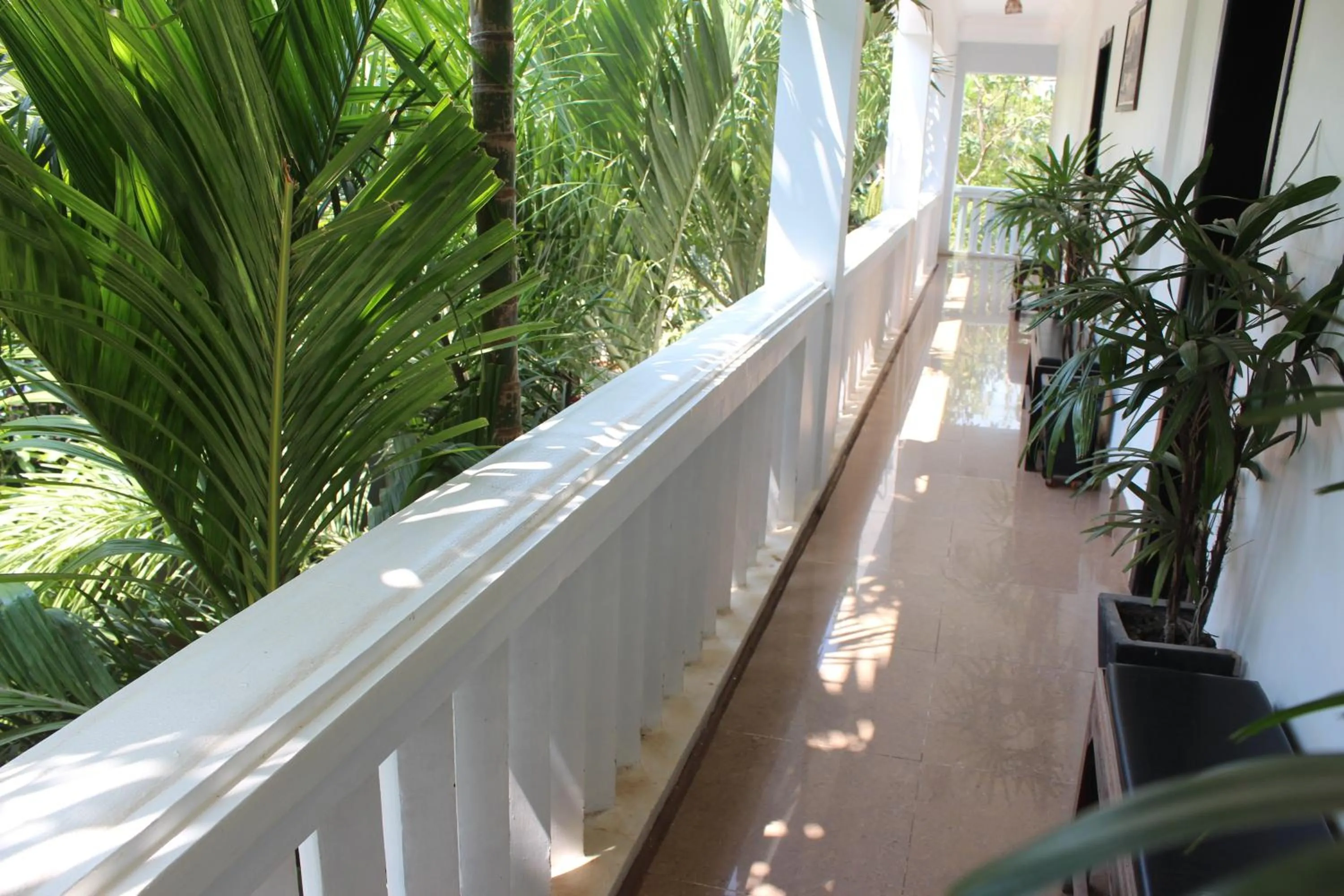 Garden in Central Night Hotel