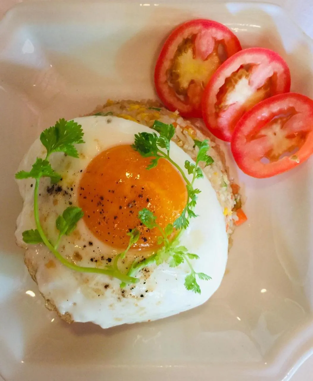 Restaurant/places to eat in Central Night Hotel