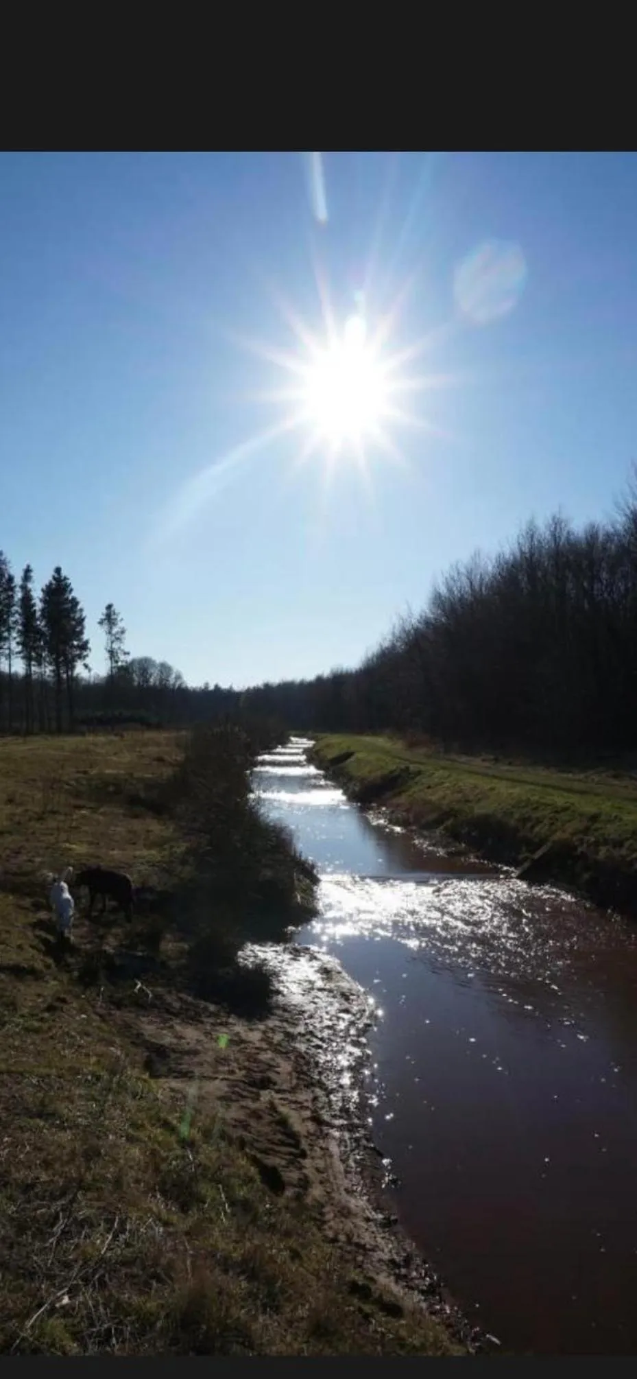 Appartement de Tuinkamer