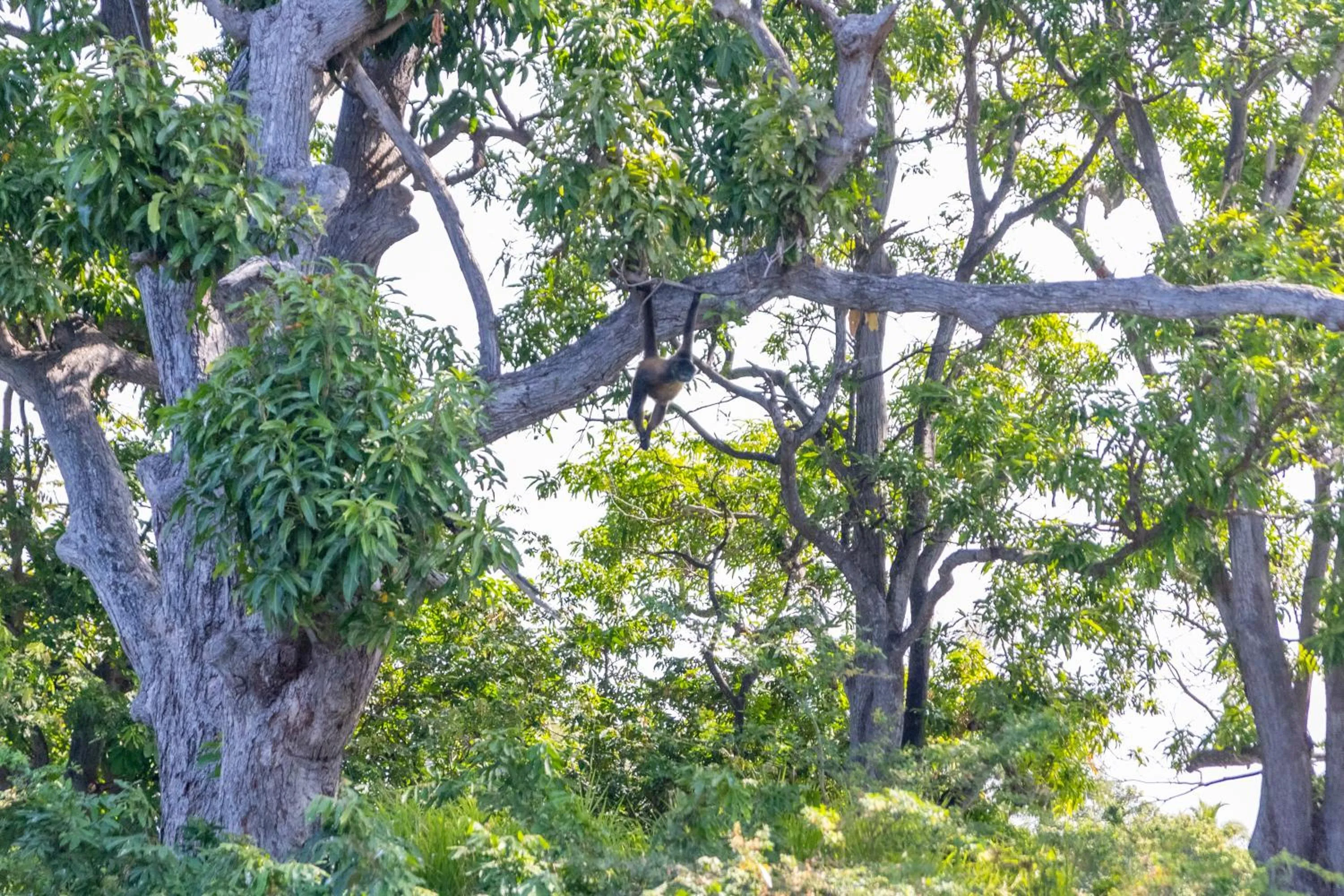 Natural landscape in Selina Granada