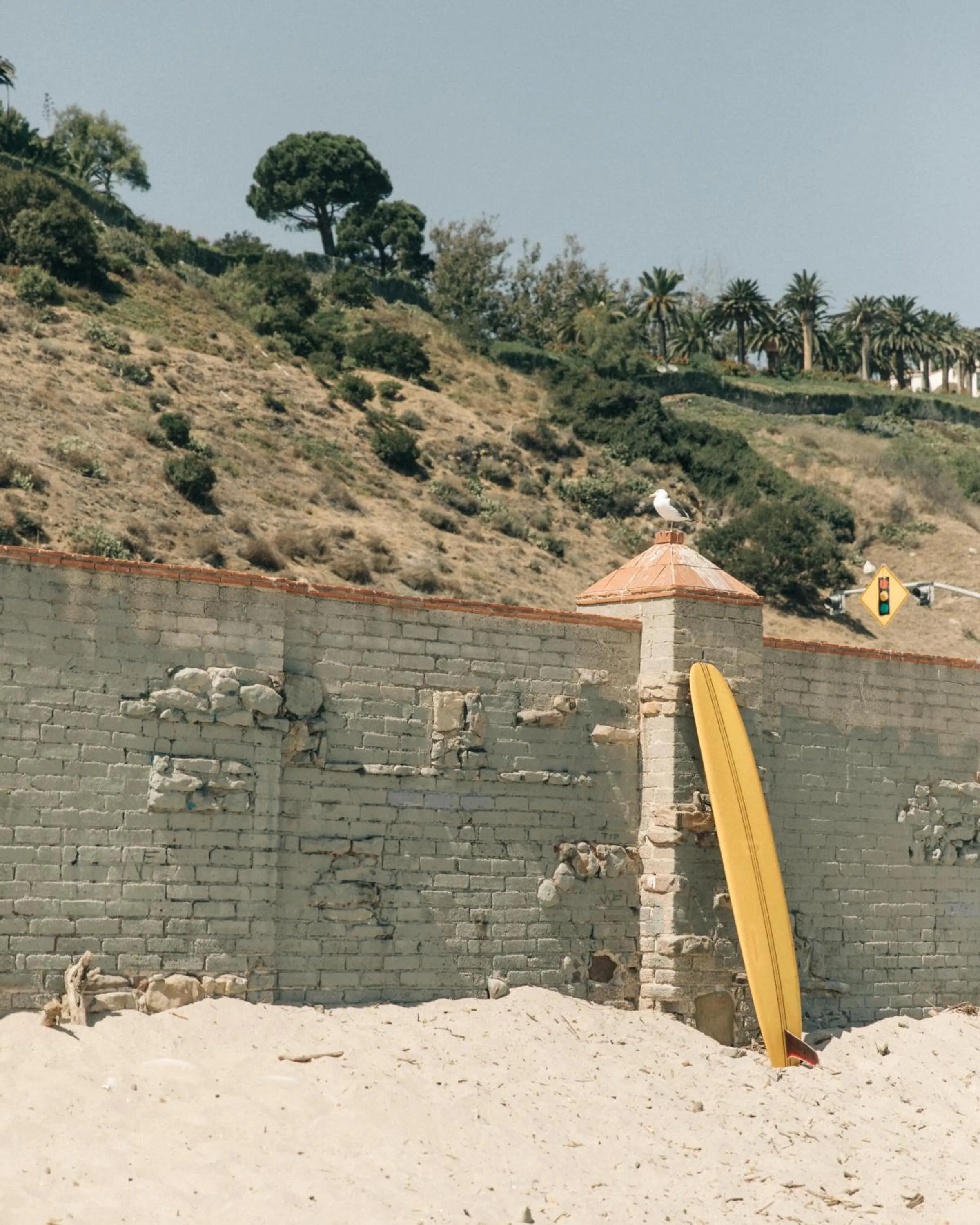 Beach in The Surfrider Malibu