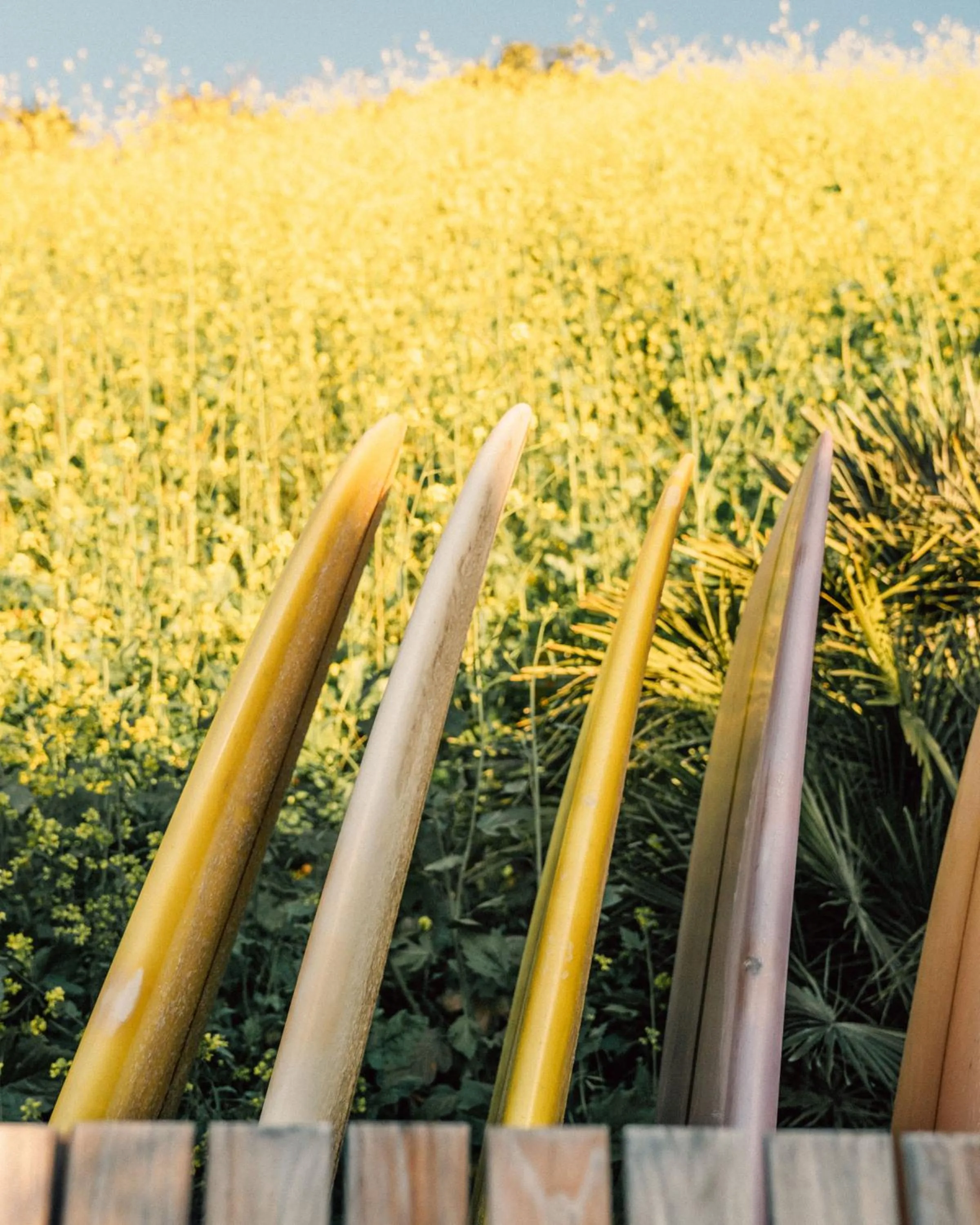 The Surfrider Malibu