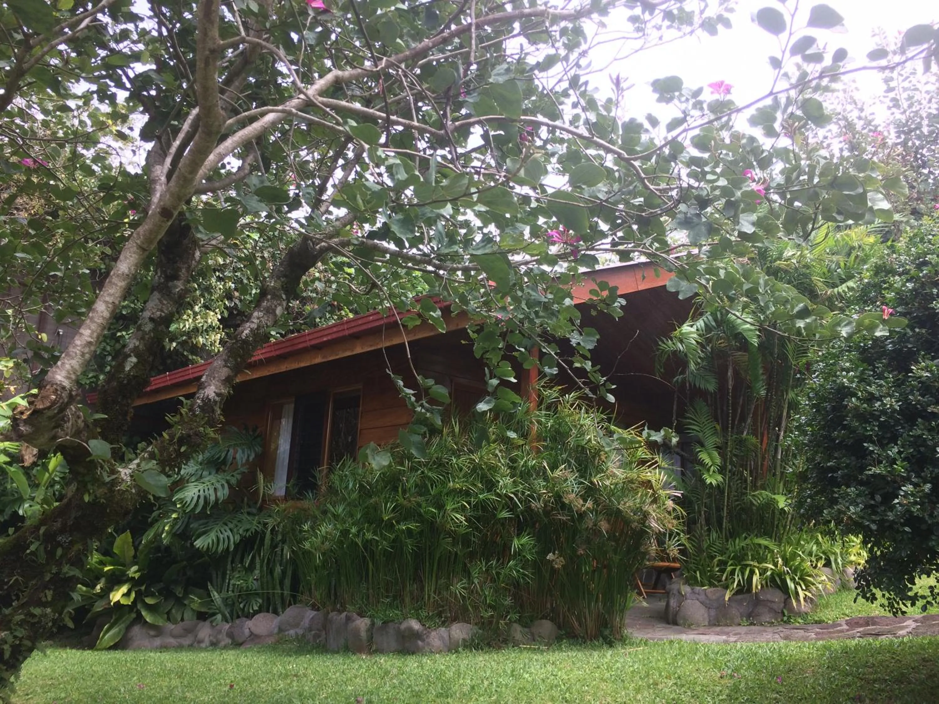 Facade/entrance in Arco Iris Lodge