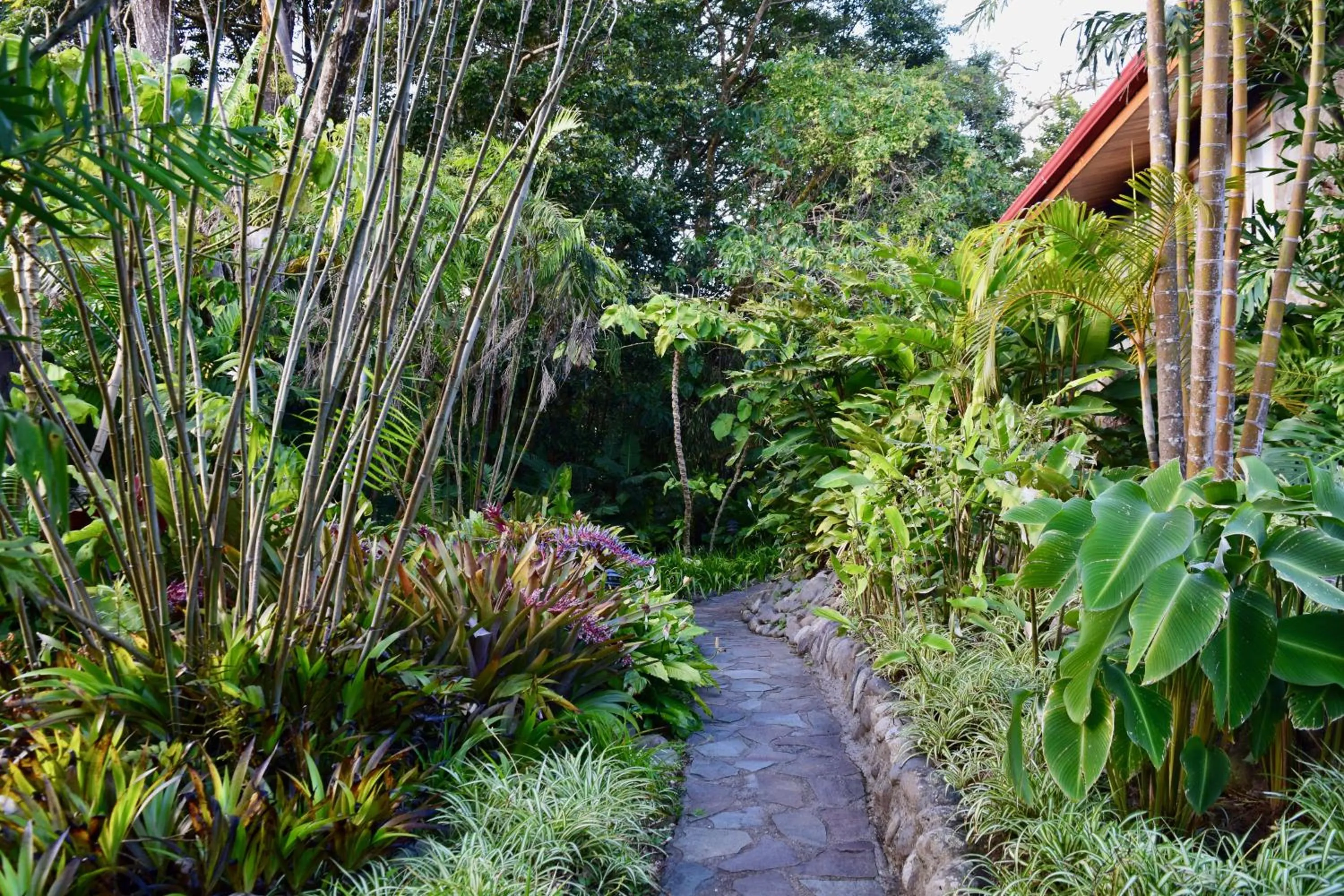 Natural landscape in Arco Iris Lodge