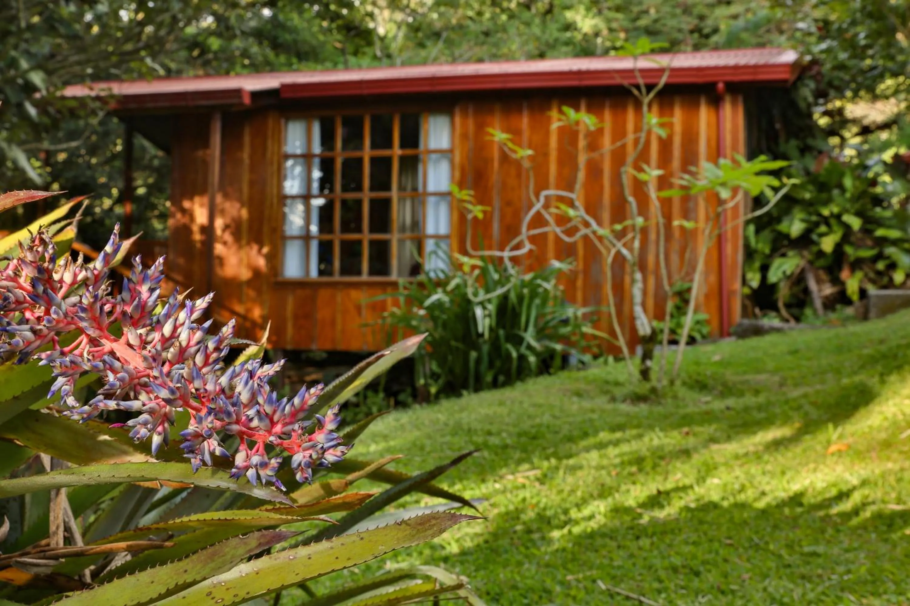 Property building in Arco Iris Lodge