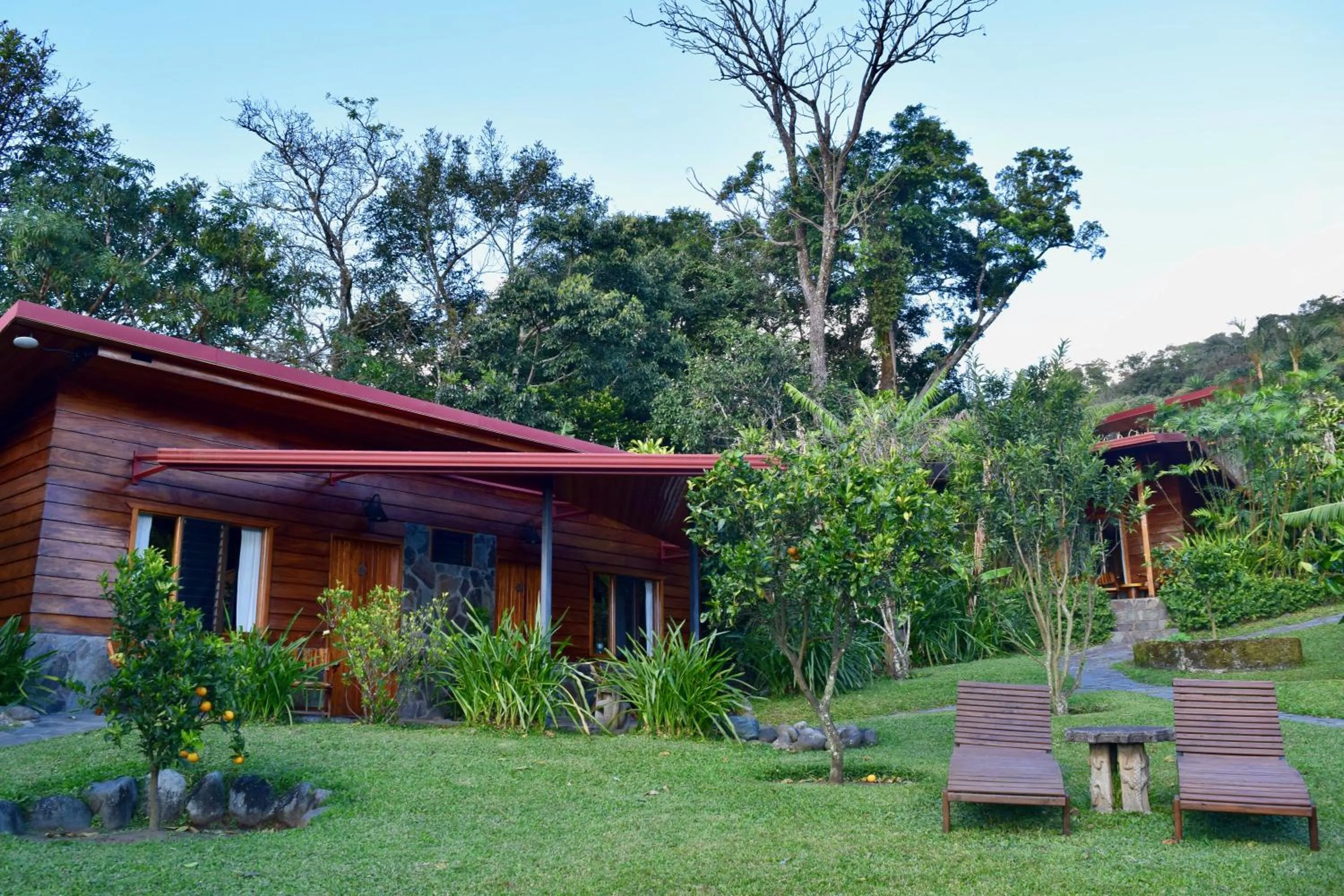 Garden in Arco Iris Lodge