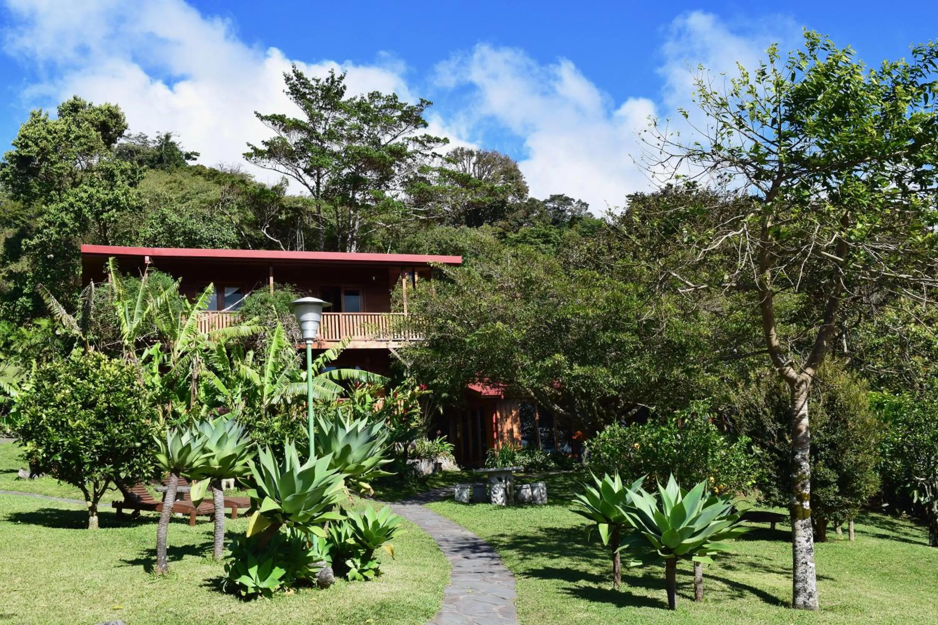 Garden in Arco Iris Lodge