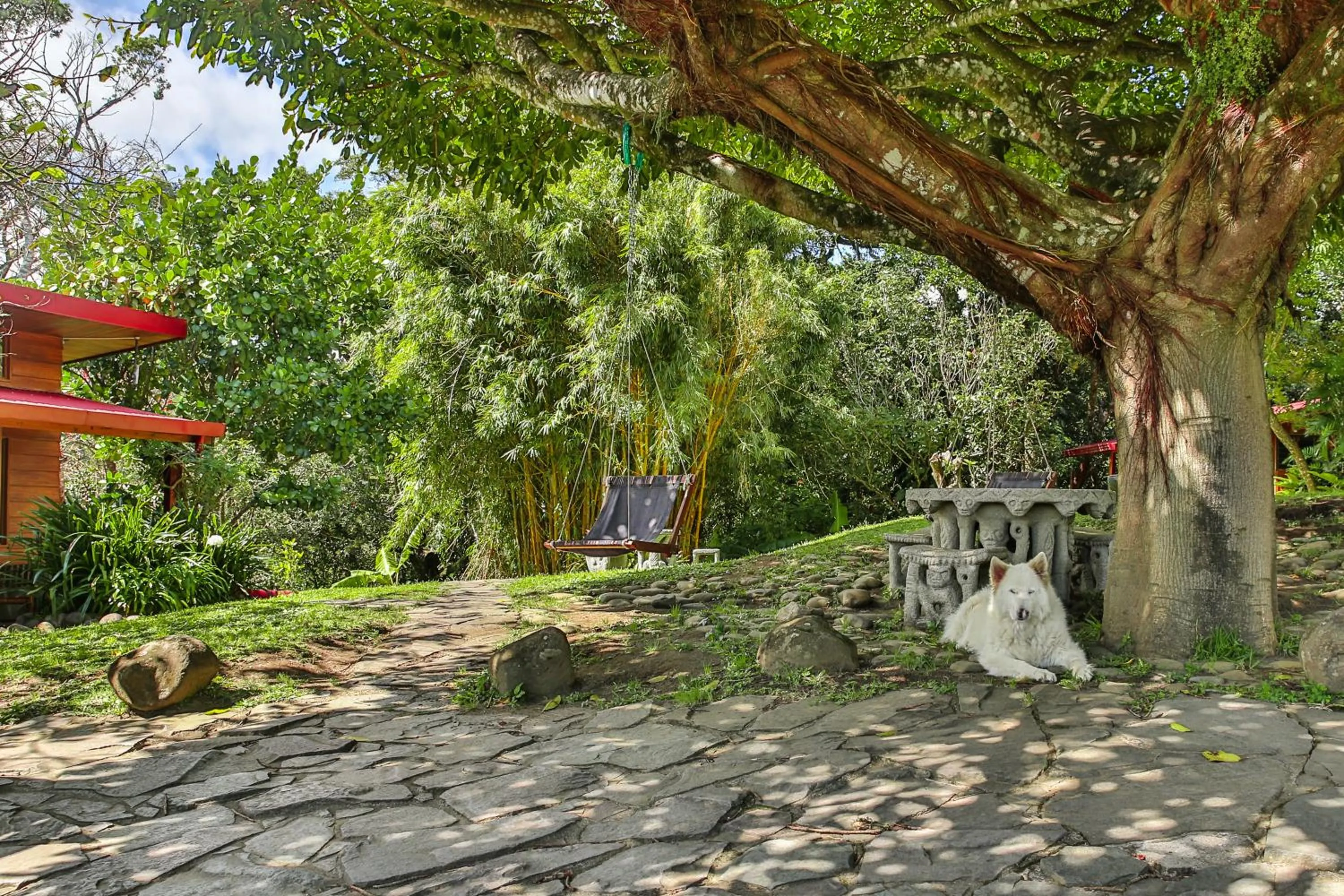 Patio in Arco Iris Lodge