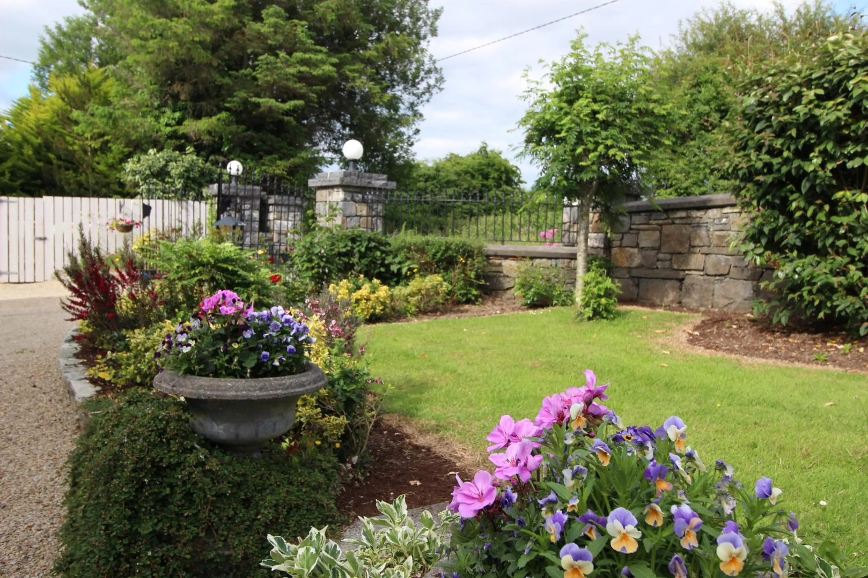 Garden view in Lurgan House