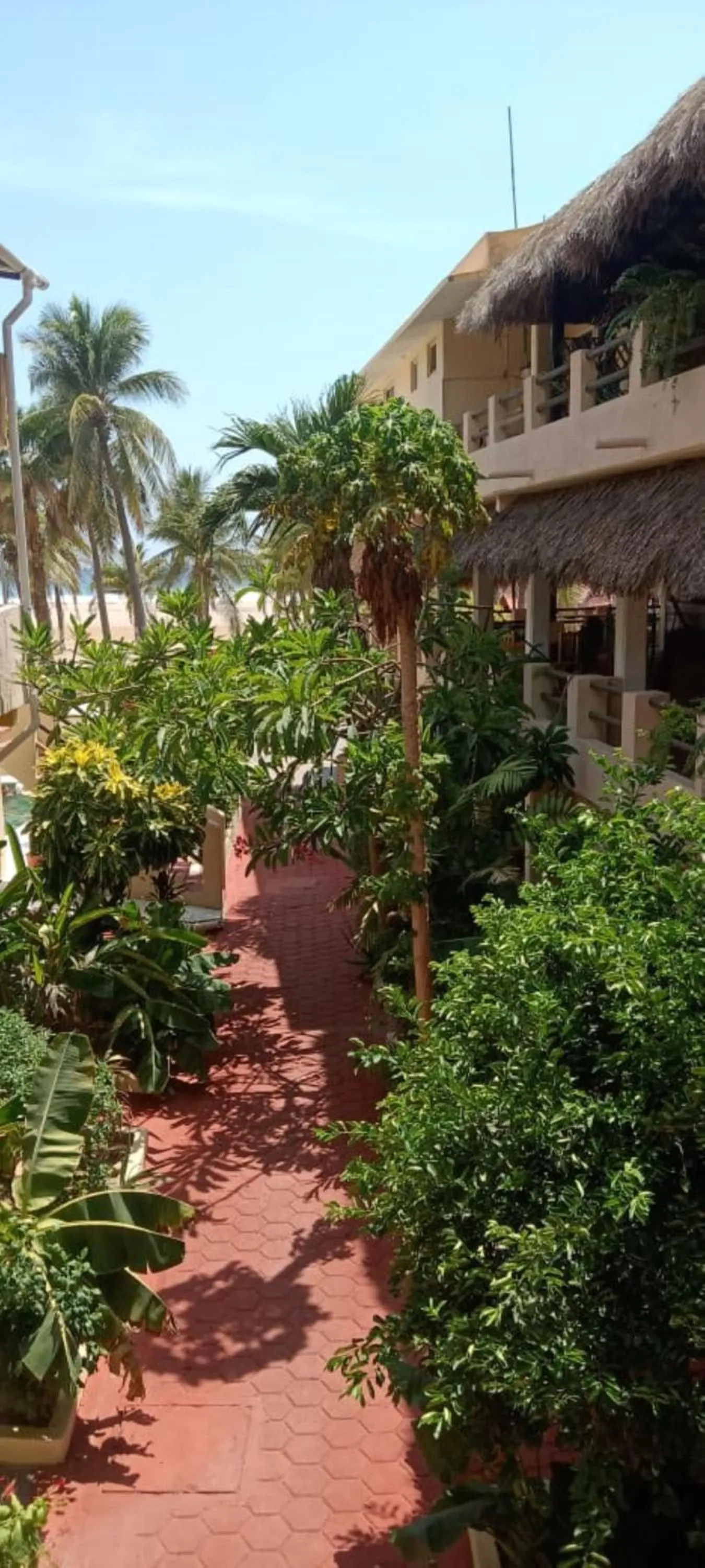 Inner courtyard view in Hotel Papaya Surf