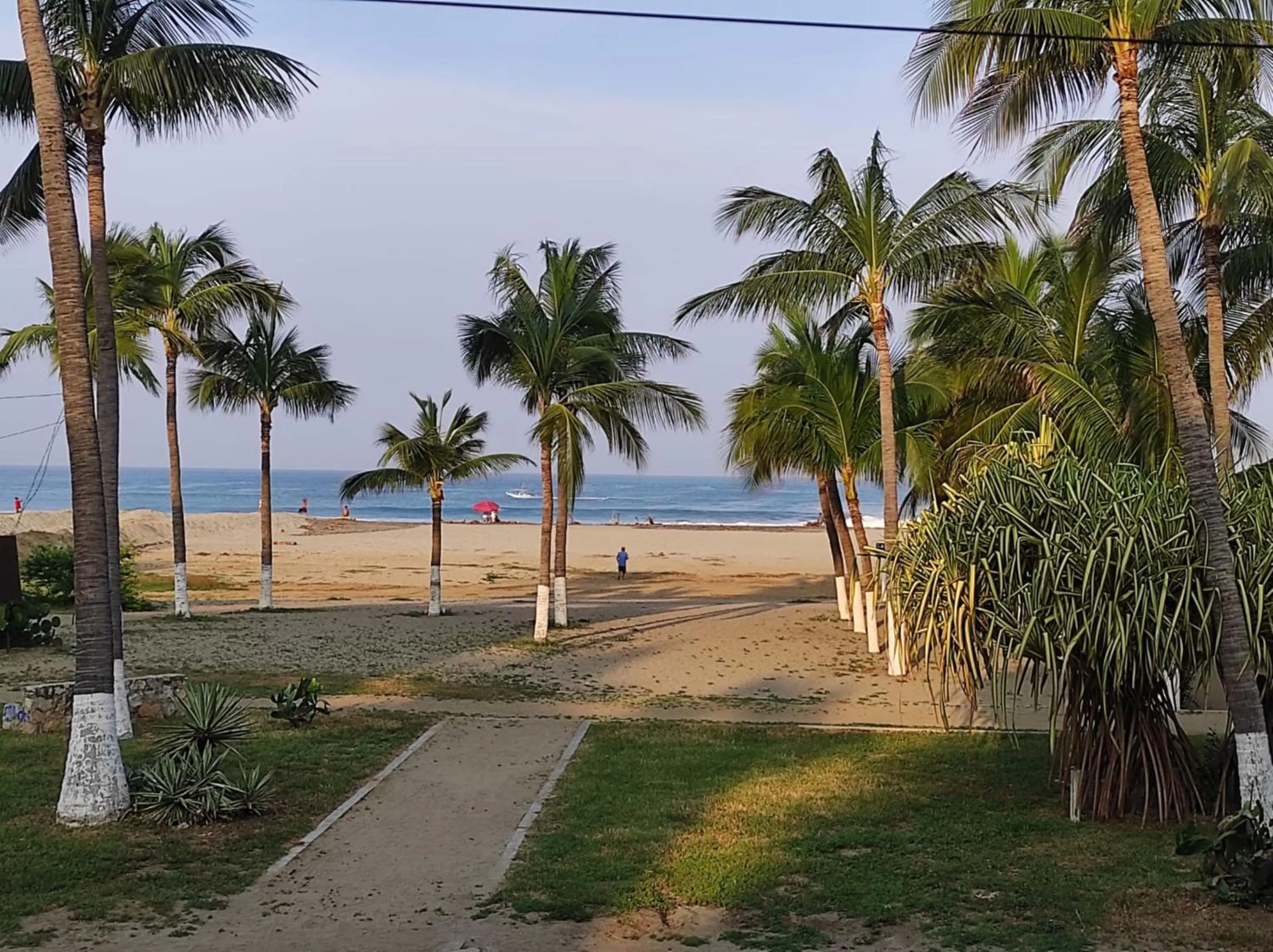 Sea view in Hotel Papaya Surf