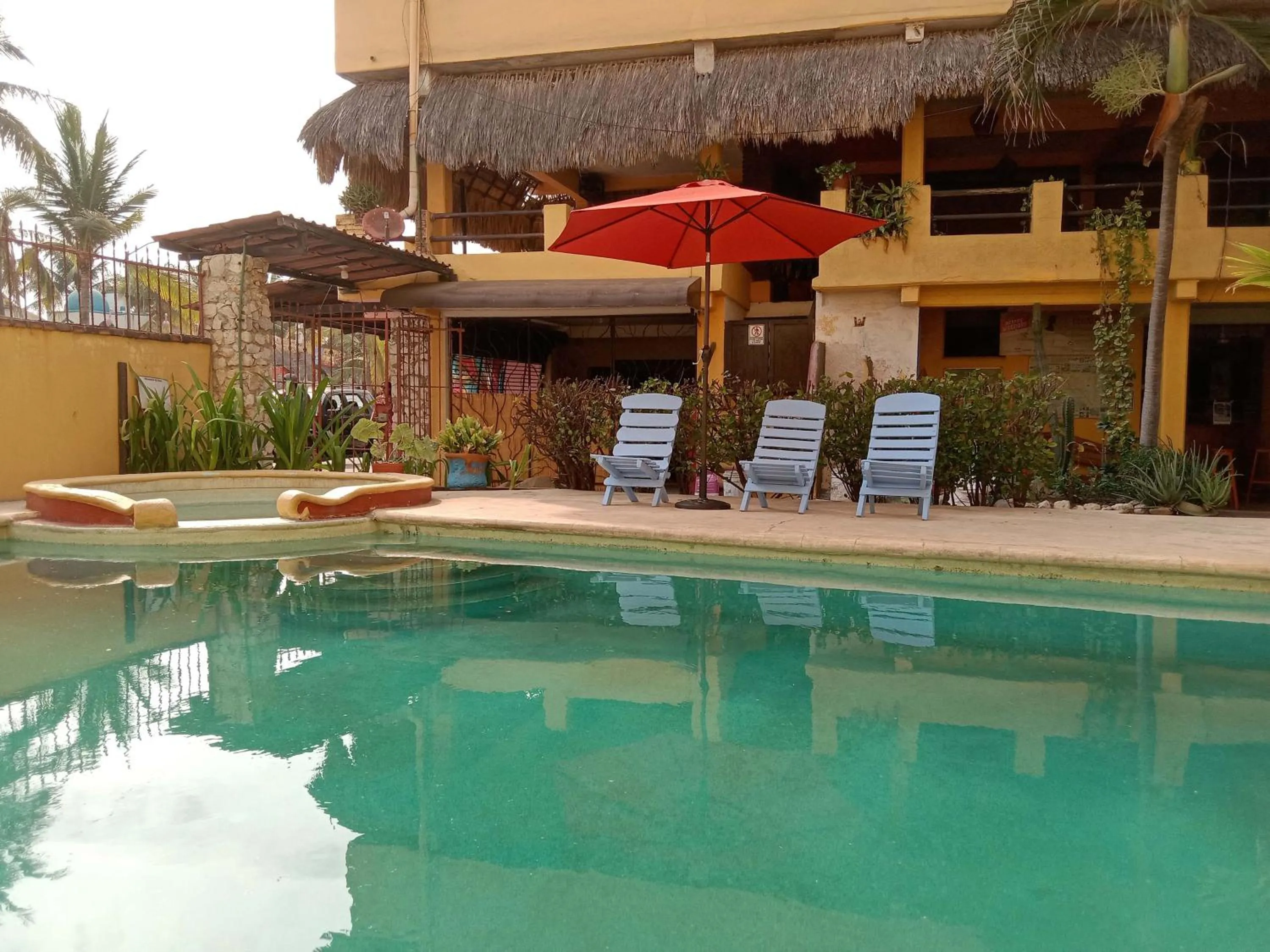Pool view in Hotel Papaya Surf