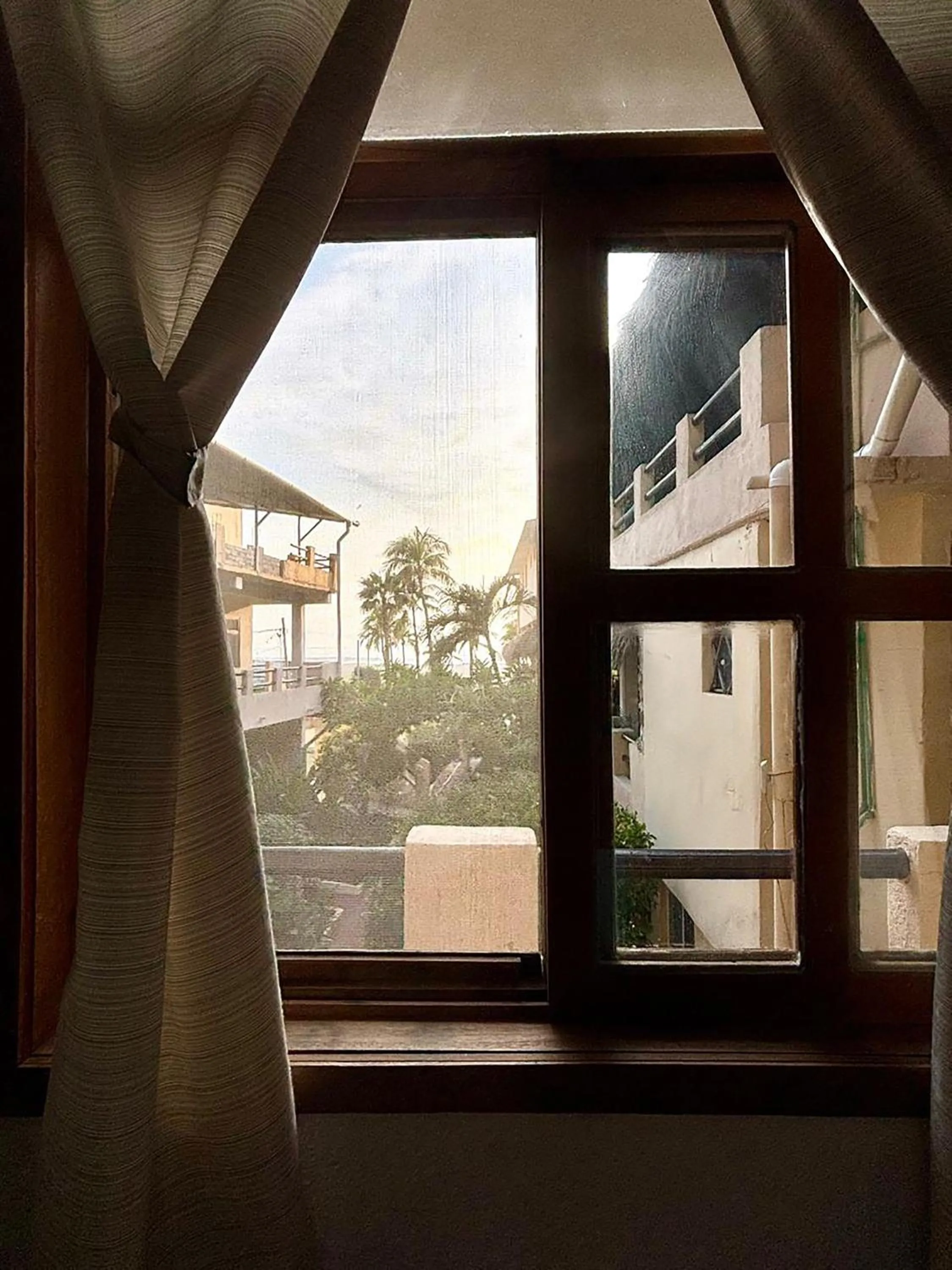 Garden view in Hotel Papaya Surf