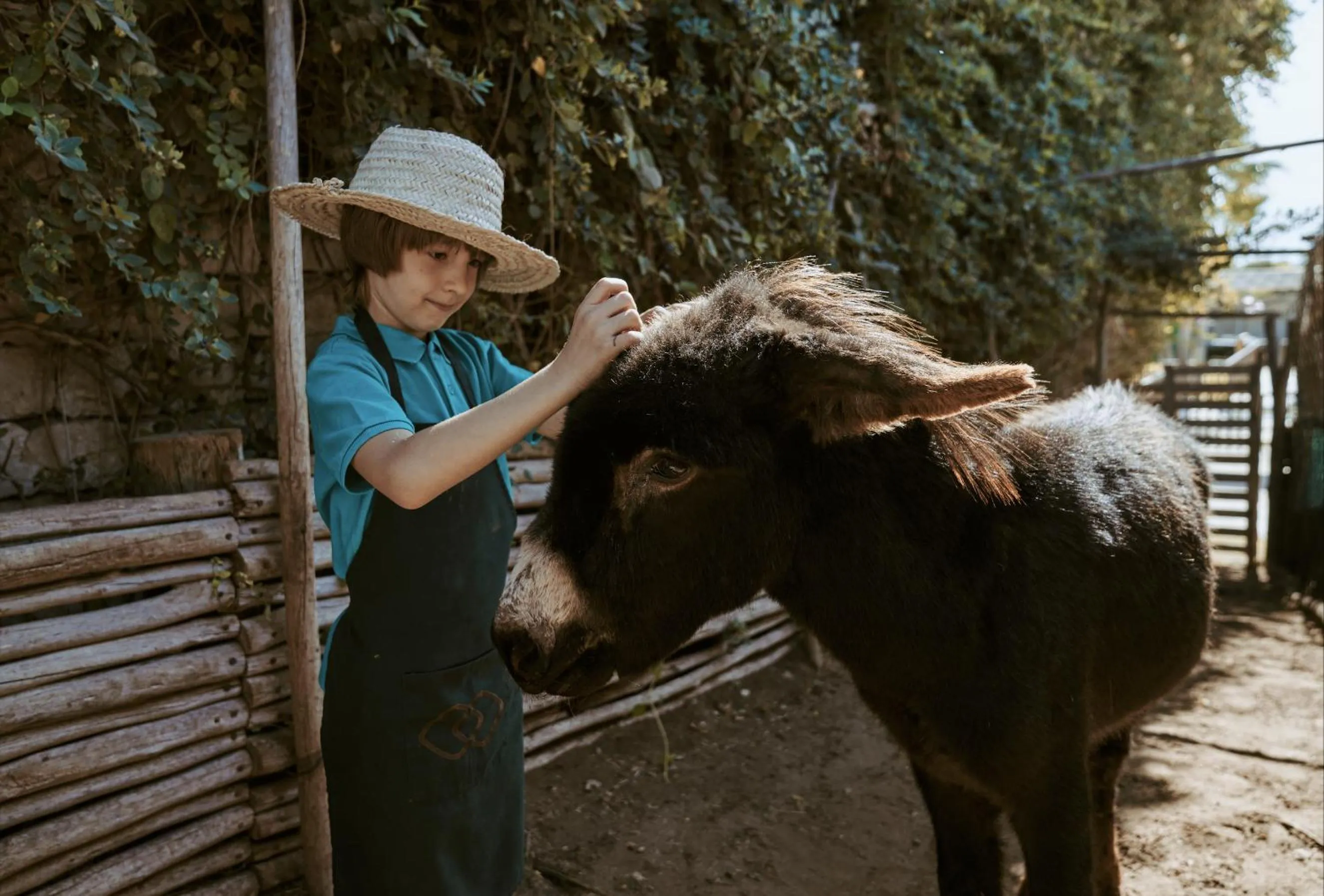 Animals in Hotel Le Golf D'Essaouira & Spa